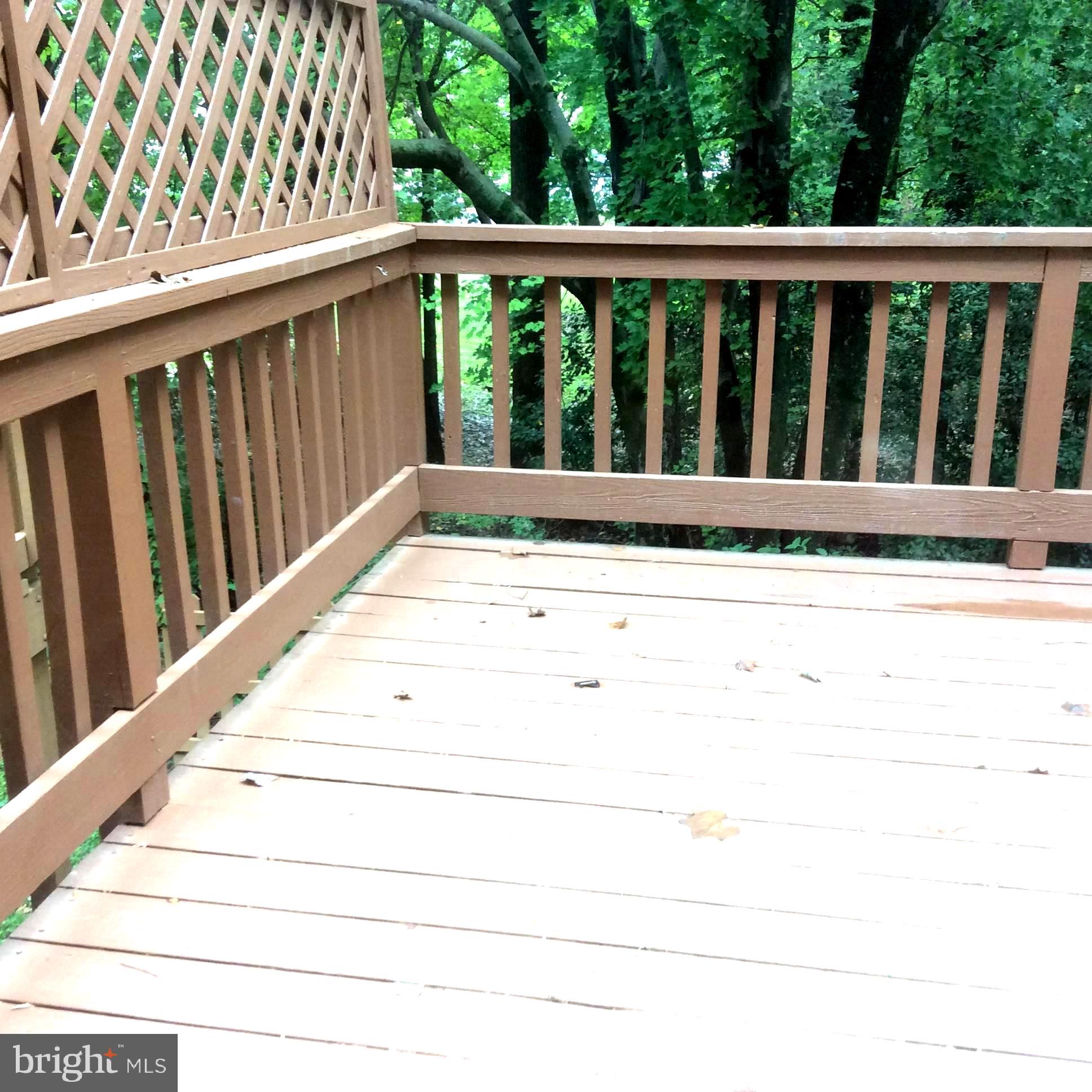 TANGLEWOOD - Residential Lease