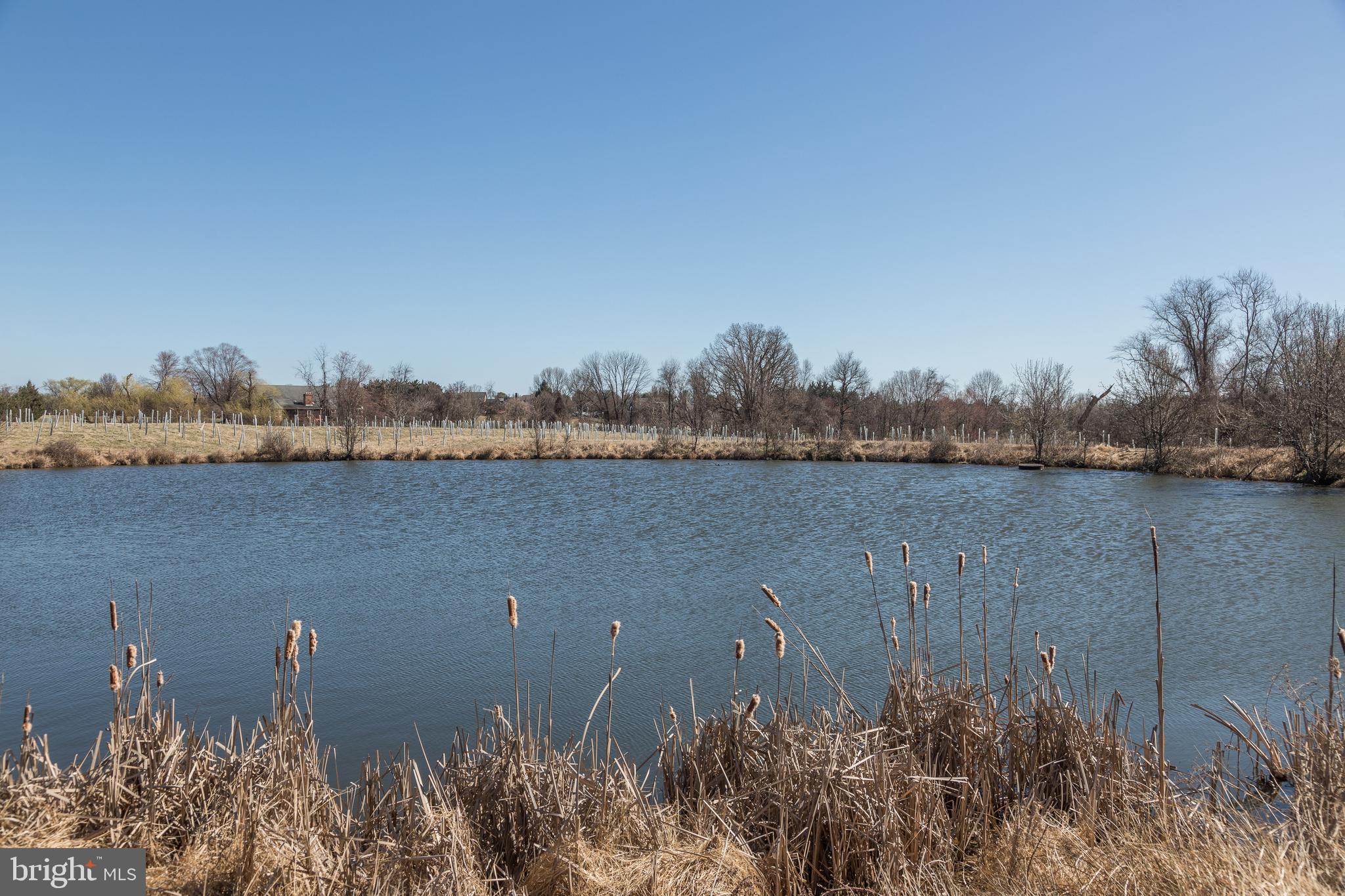 TODD LAKES - Residential