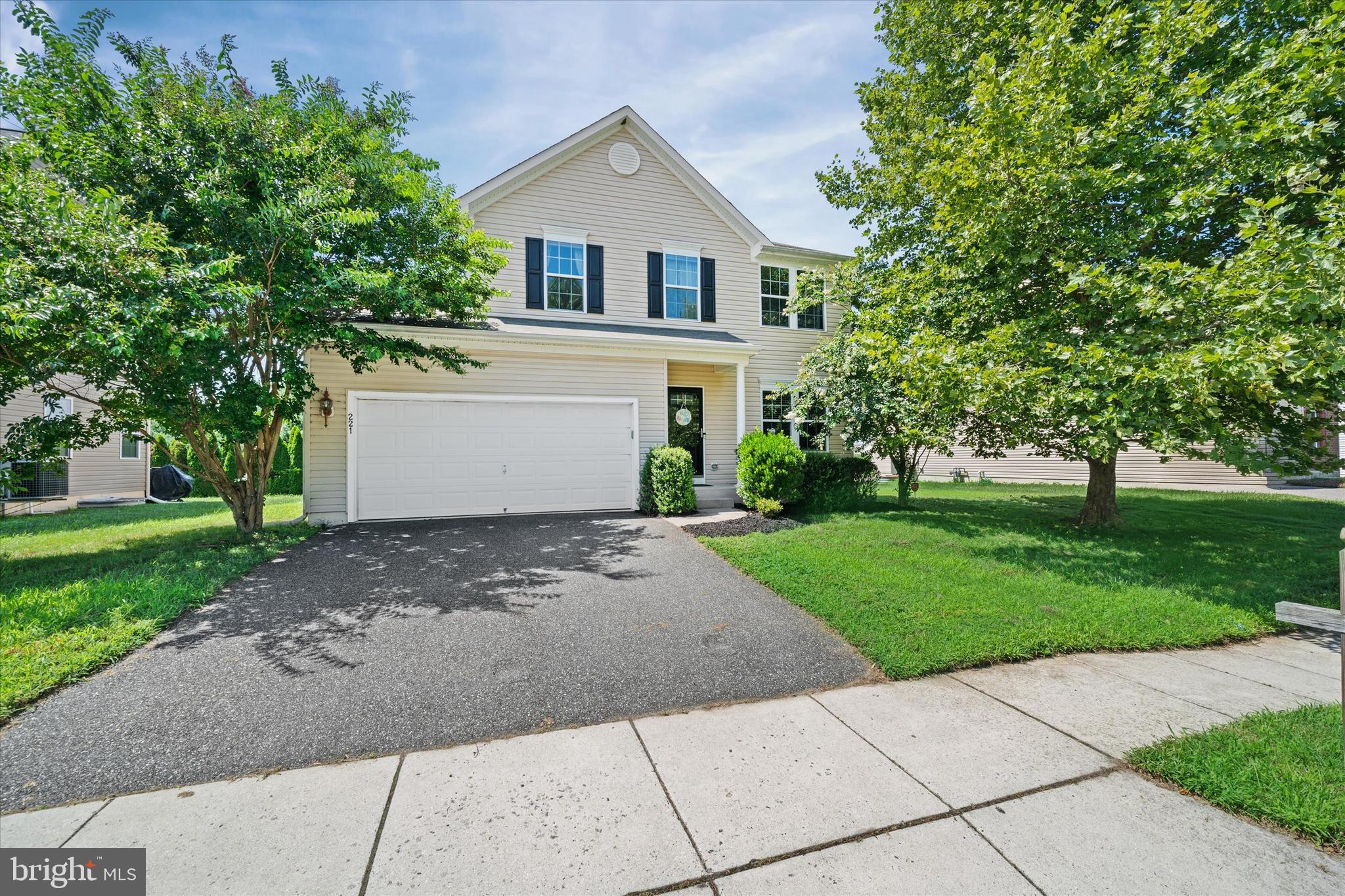 221 CLIMBING VINE AVENUE