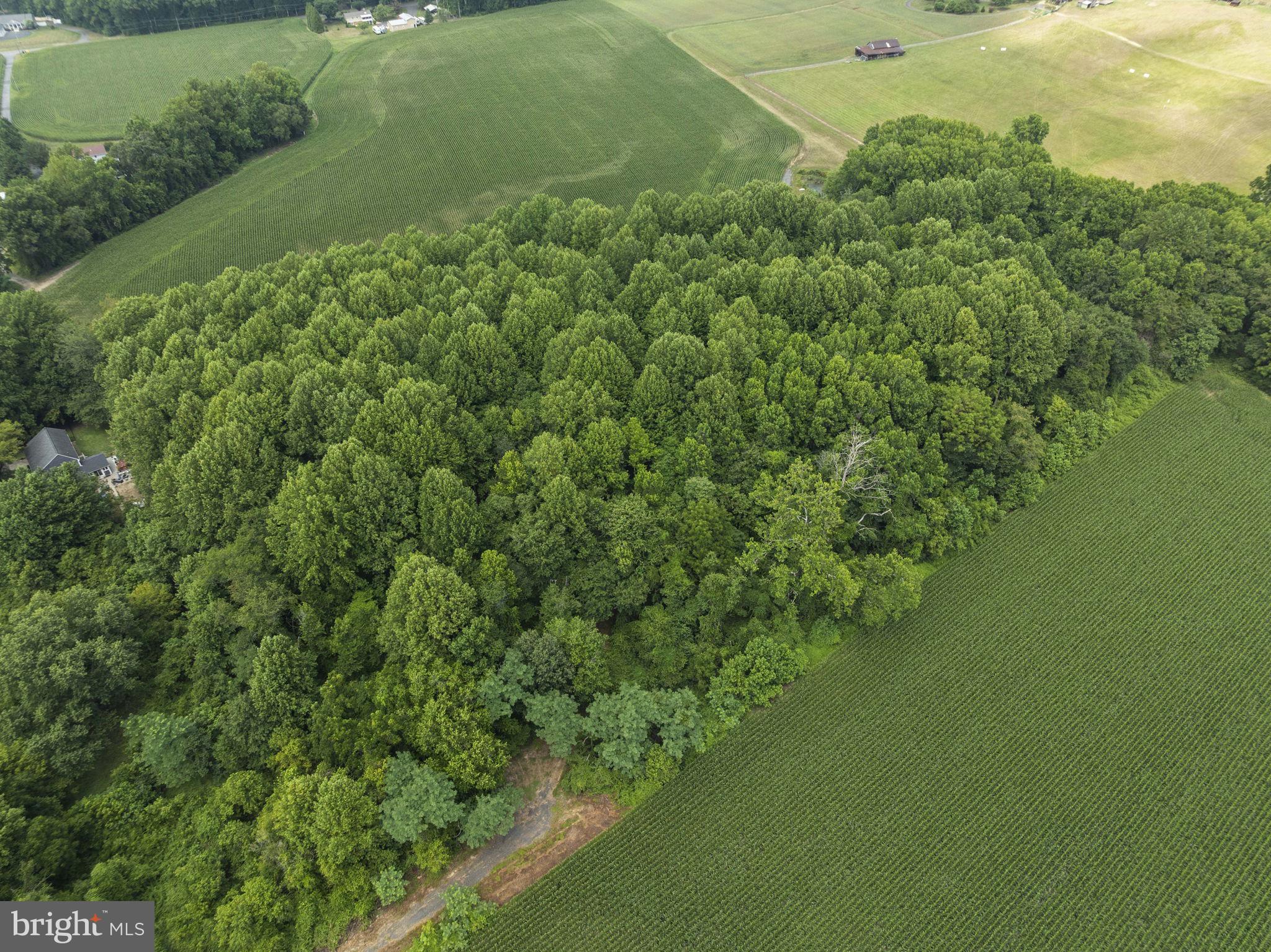 3321 PATUXENT RIVER ROAD