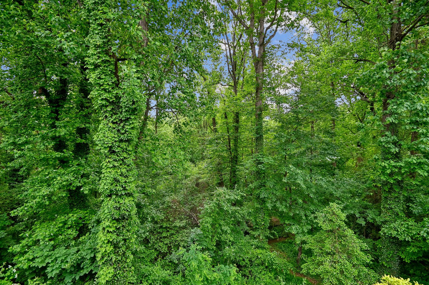 OAKMONT - Residential