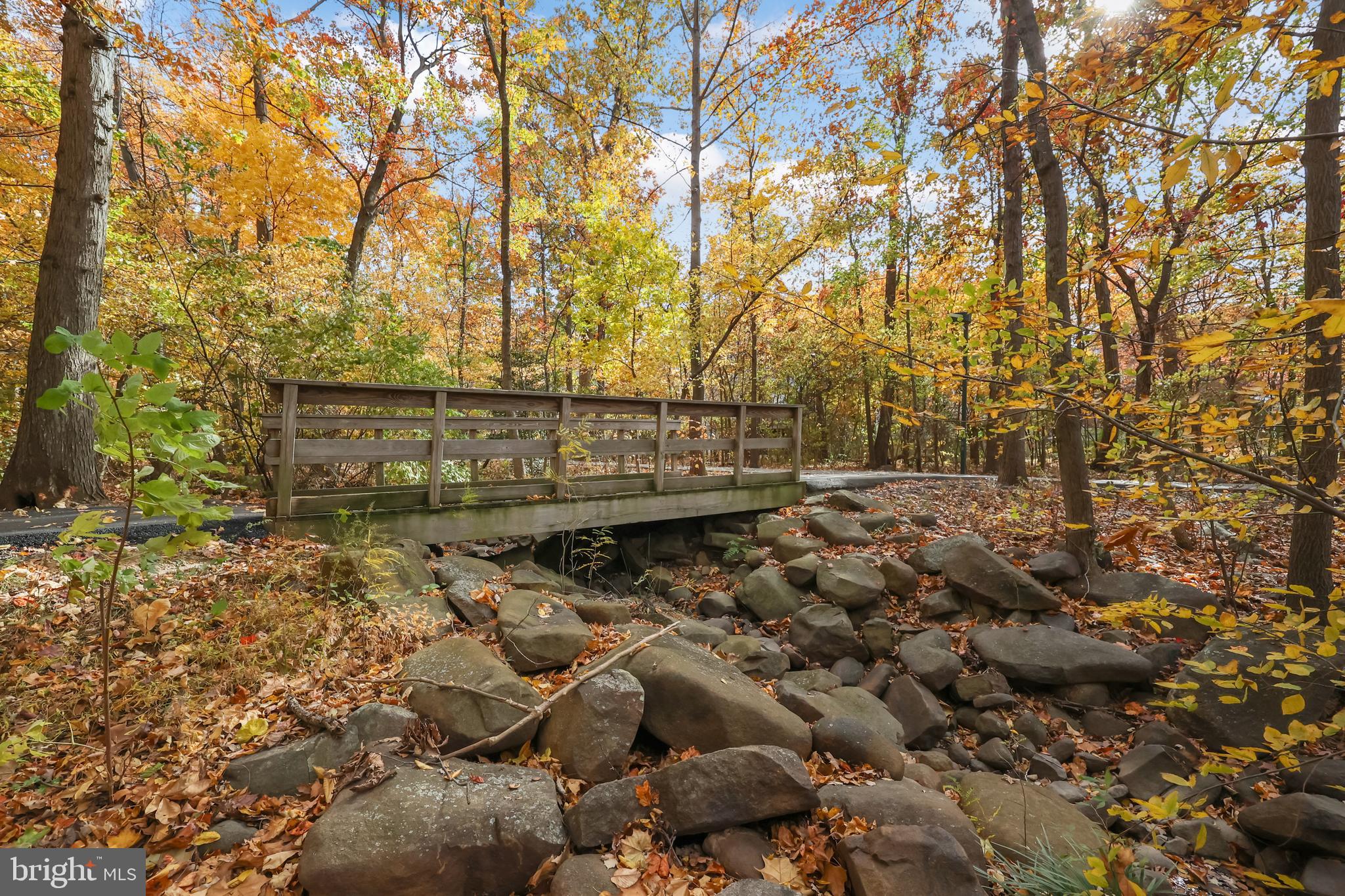 LINCOLN PARK - Residential