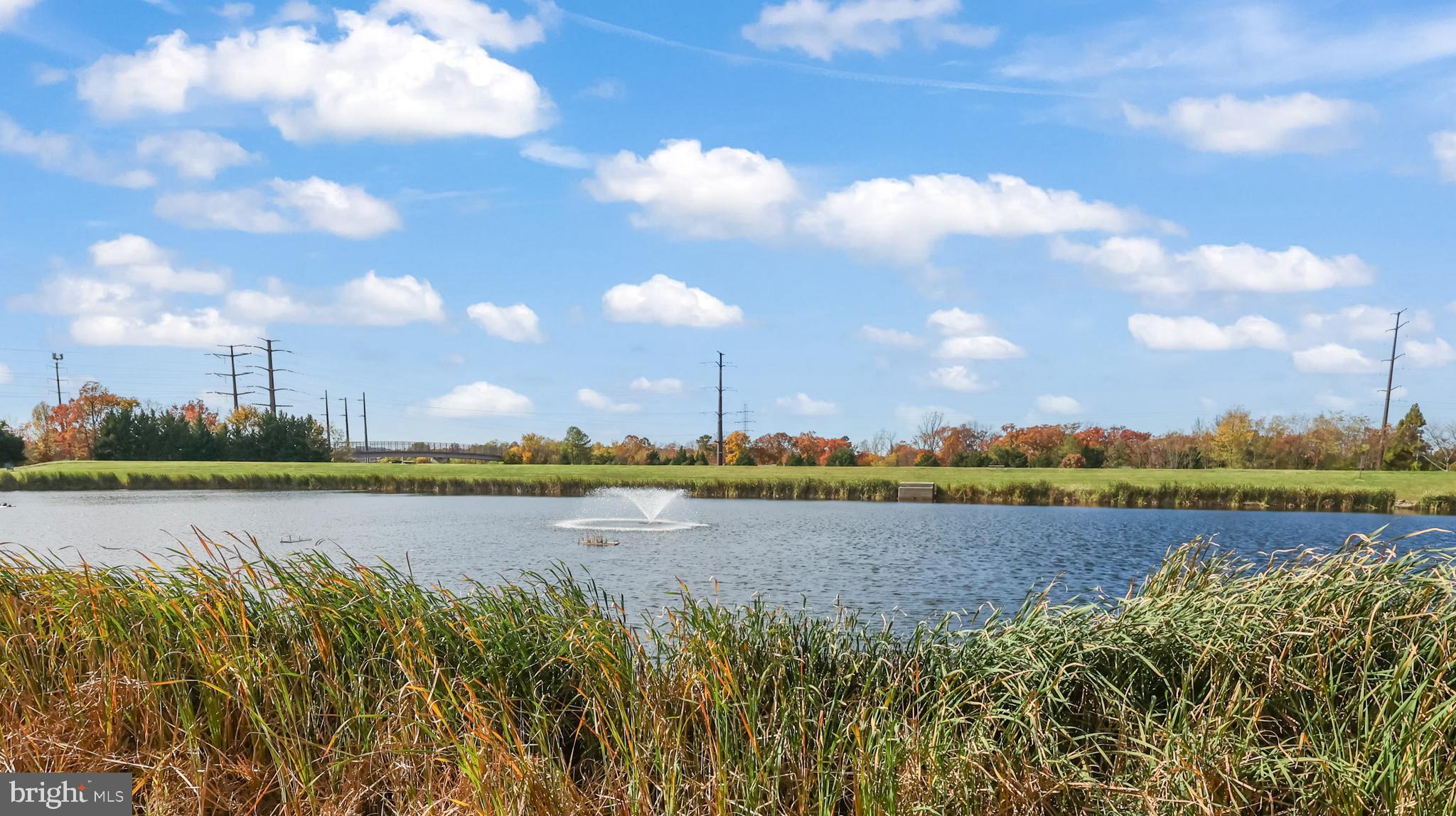 LINCOLN PARK - Residential