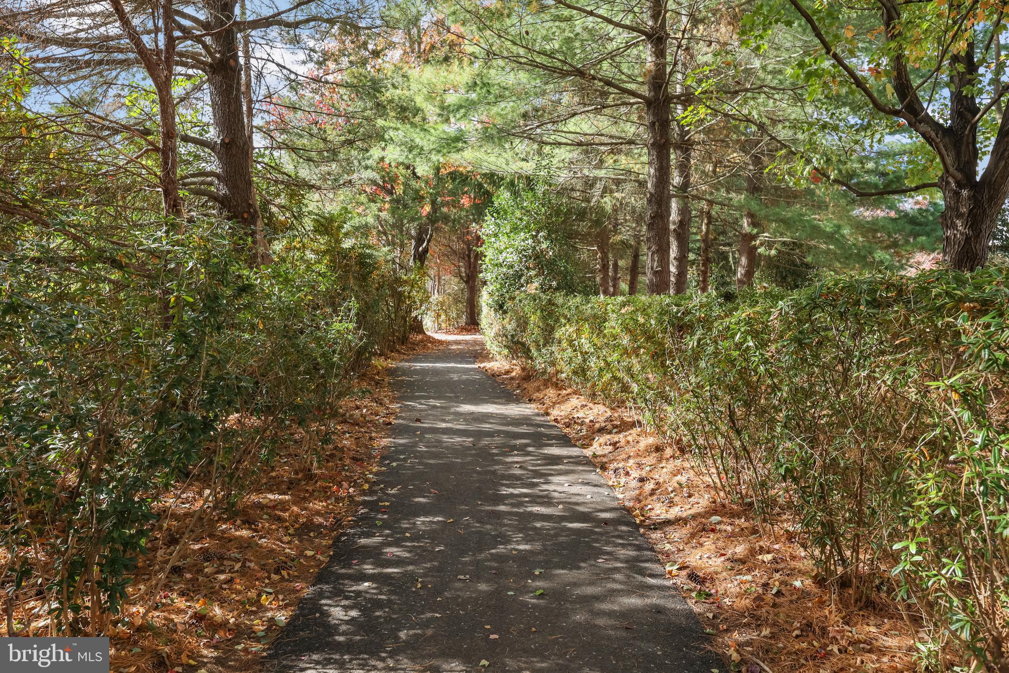 LINCOLN PARK - Residential