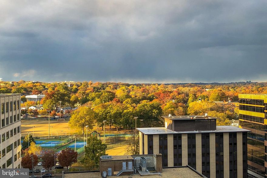 Landlord will consider 6 month or 12 month Lease.  
For the Tenant who craves great space in a premium location.  
Tenant Paradise.  Rent includes all utilities.  Rent includes cable TV and High-Speed Internet.  Rent includes garage space and extra bldg. storage.  Need a second garage space?  Rent at approximately $150.-$185. per month.  Solid and Secure with 24 Hour attended Lobby Desk.   Prime, ultra-spacious 1,320 sq. ft.  A real Dining Room and quality built to appeal to those wanting larger rooms.  BIG balcony for an additional 120 sq. ft.  Electric Vehicle Charging stations in garage.  Excellent condition.  Renovated in 2013.   Granite & stainless kitchen; updated baths; gorgeous engineered hardwood floors, in-unit Washer & Dryer.  BIG pool; Spacious patio area with Gas grill and firepit.  Virginia Square Metro 2 minute walk. In the heart of Virginia Square/Ballston and a quick stroll to everything you need and want. No Smoking building.  Landlord says "Cats o.k.  No dogs."