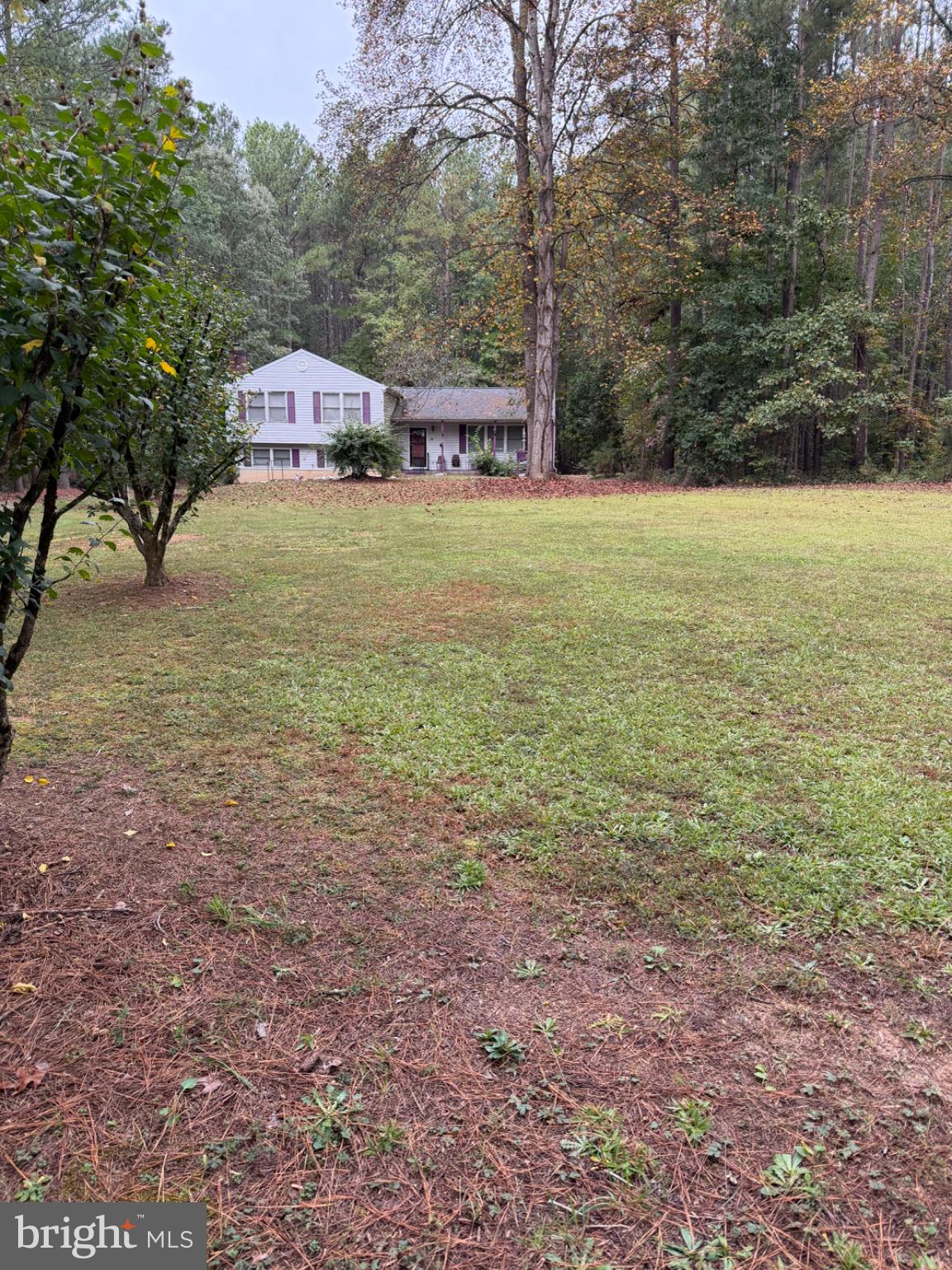 7302 EMMA DRIVE