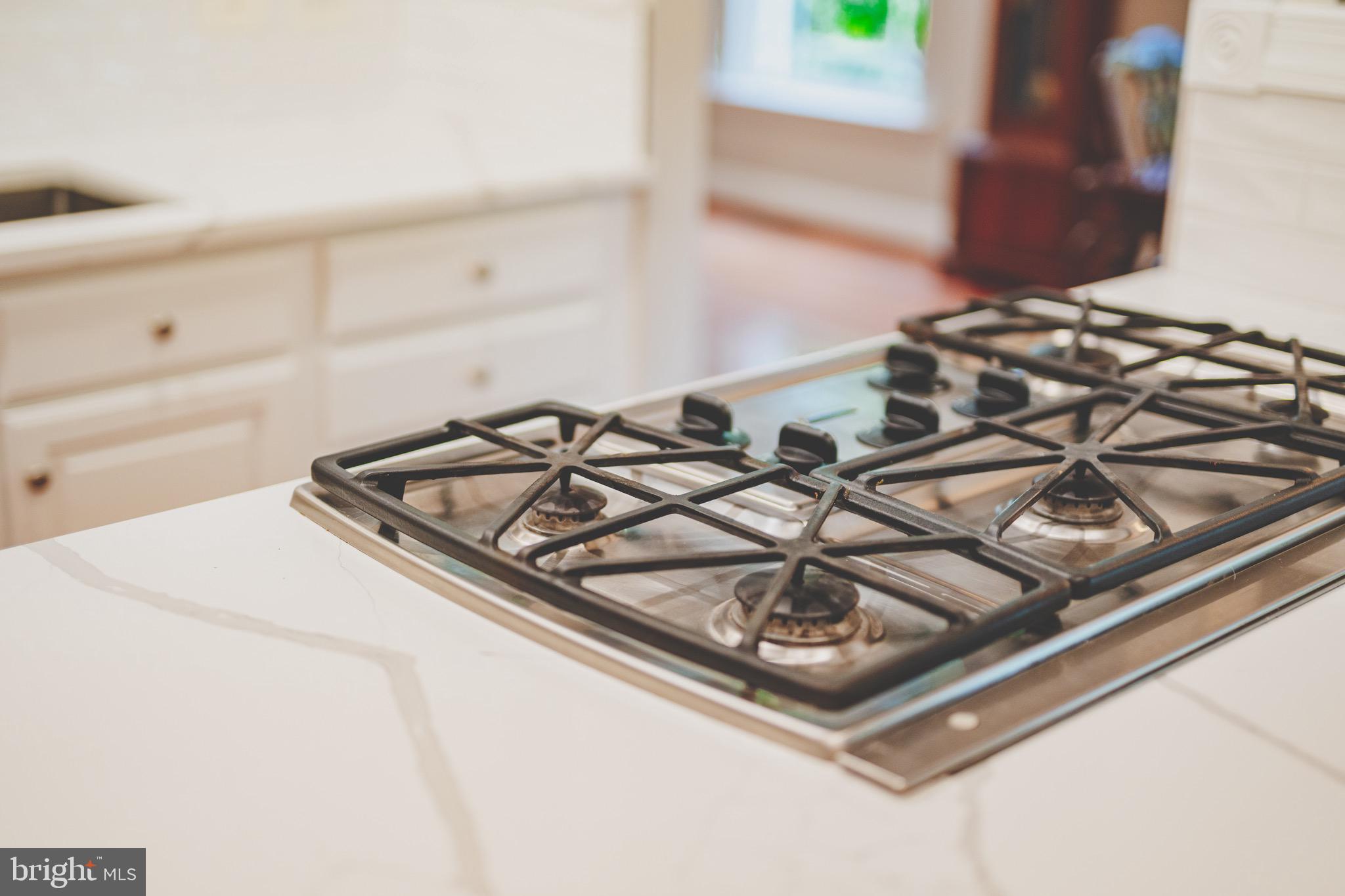 HAMLET AT LEESBURG - Residential