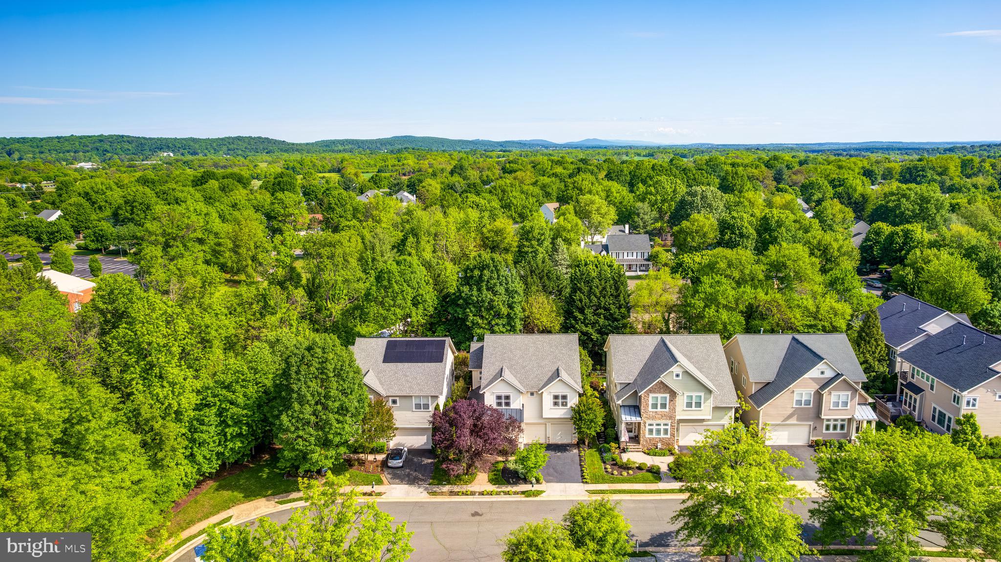 HAMLET AT LEESBURG - Residential