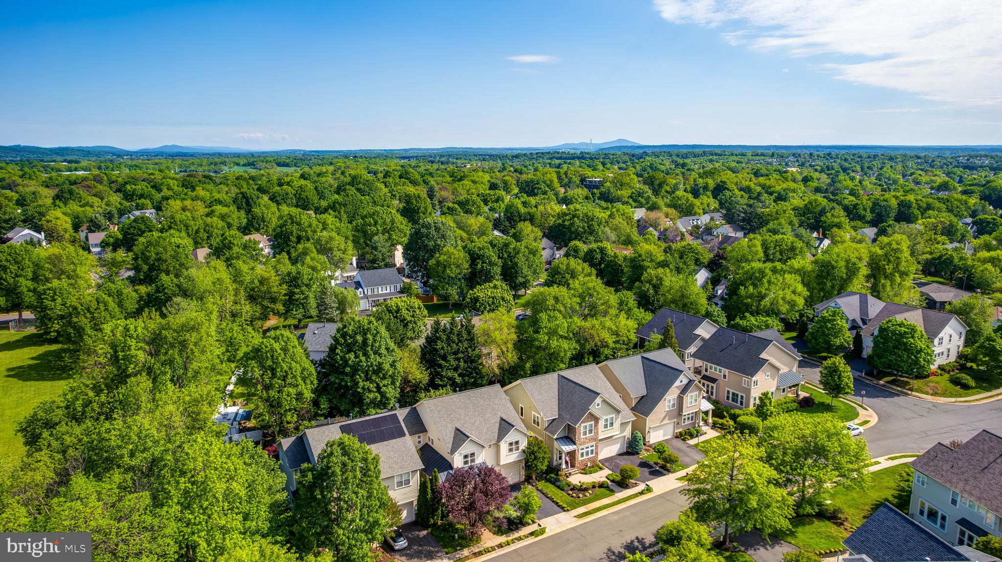 HAMLET AT LEESBURG - Residential