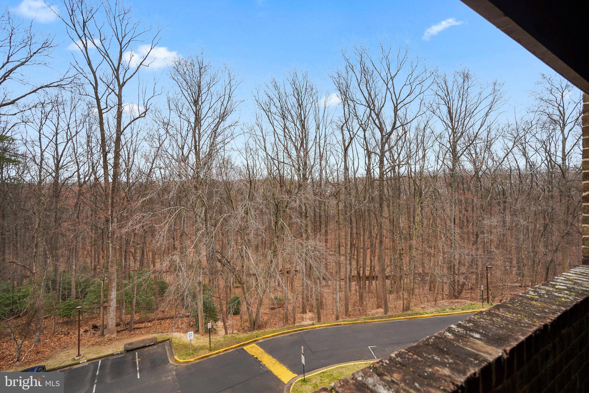 CHESTNUT GROVE - Residential