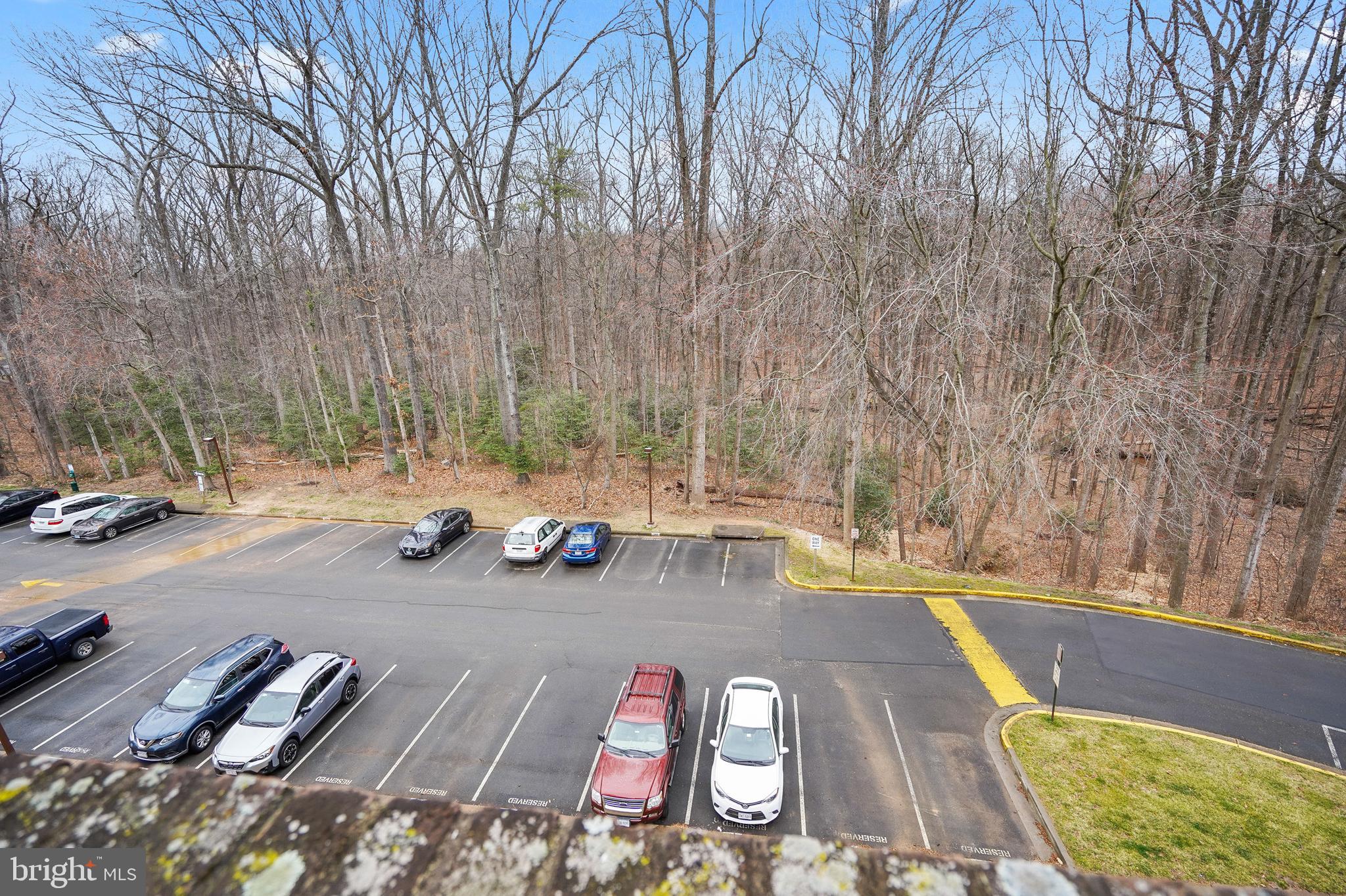 CHESTNUT GROVE - Residential