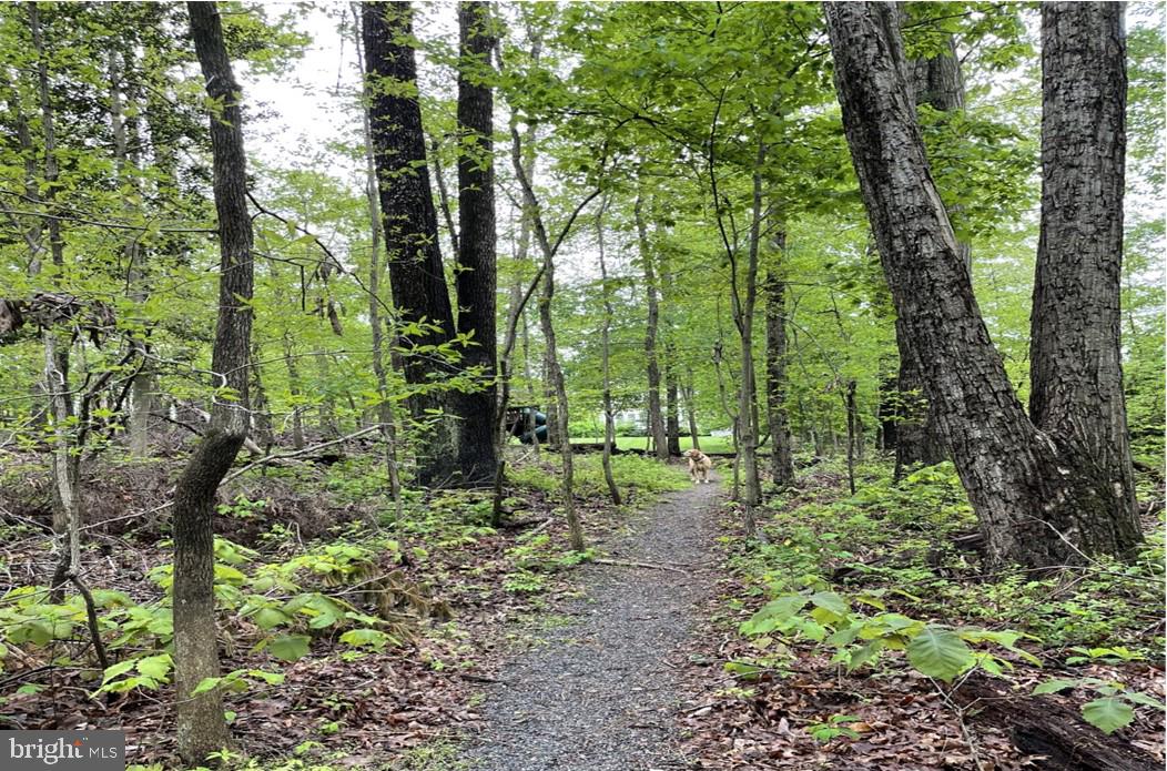 DARTMOOR WOODS - Residential