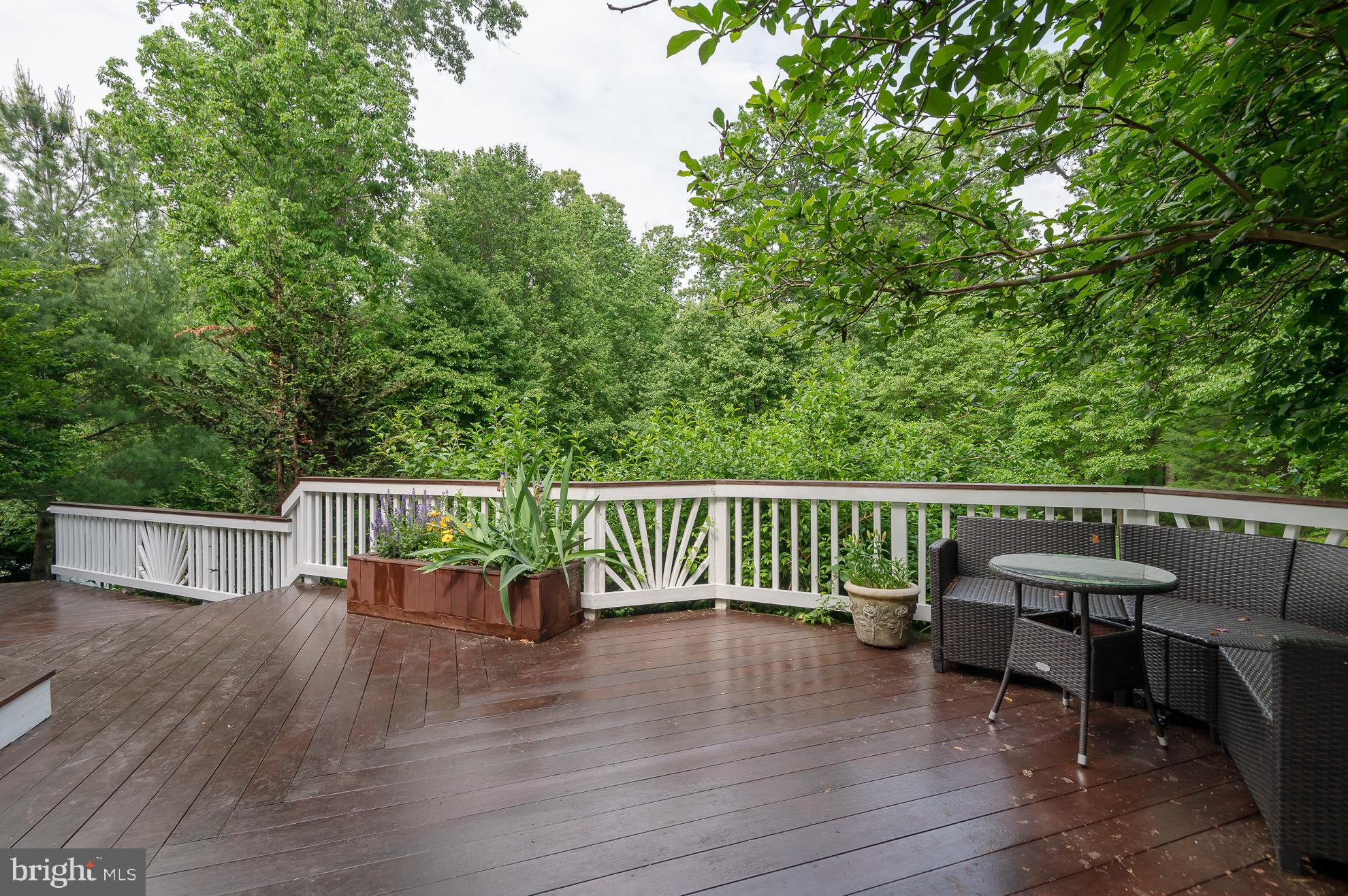 DARTMOOR WOODS - Residential