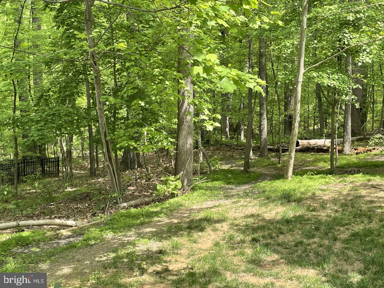 DARTMOOR WOODS - Residential