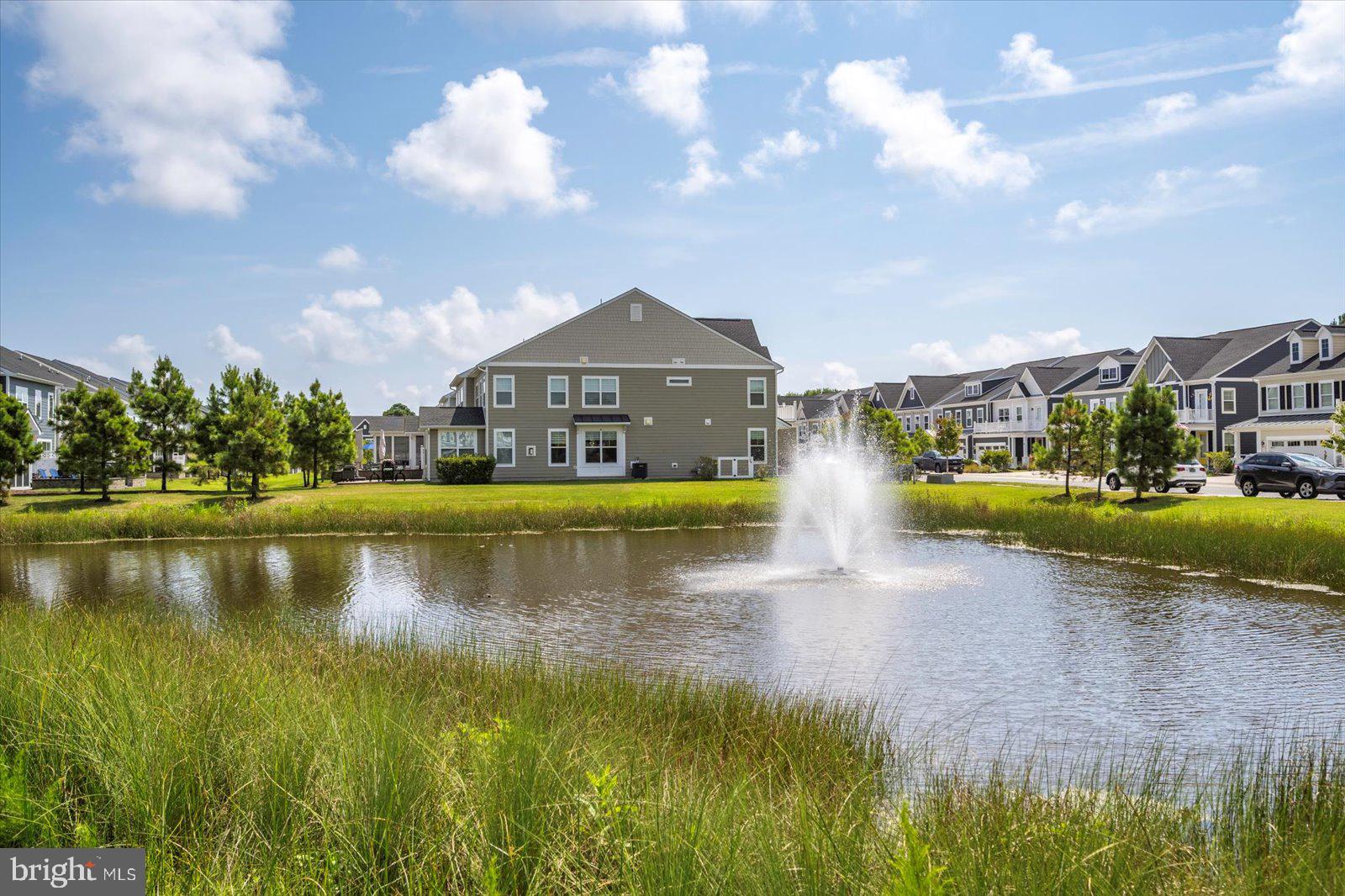 20531 CATTAIL CREEK LANE