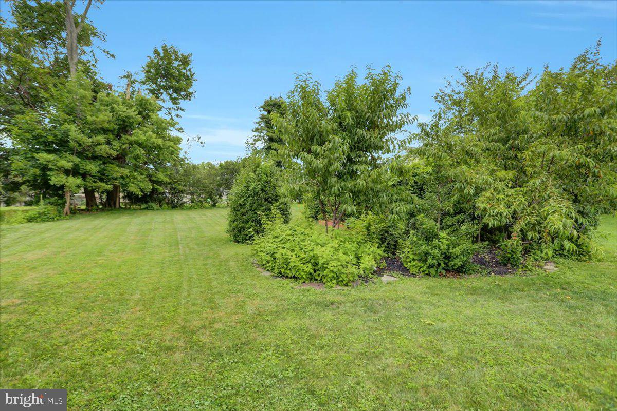 CAMP HILL HEIGHTS - Residential