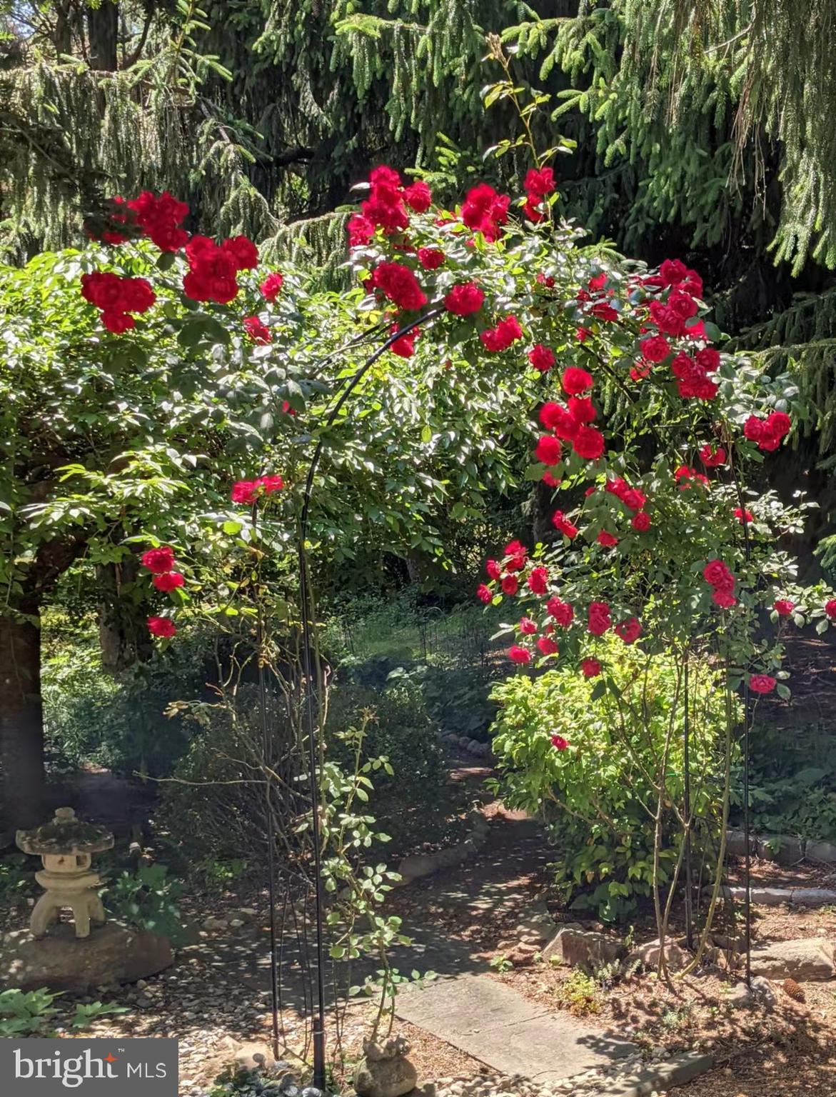 HARVEY RUN - Residential