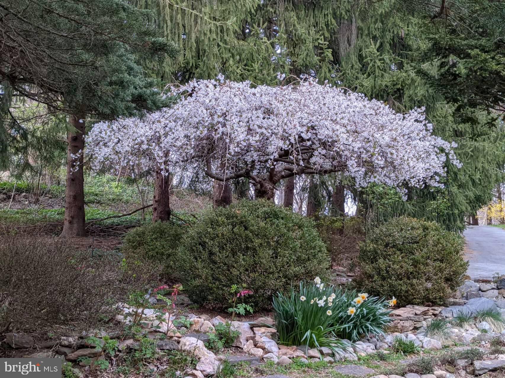 HARVEY RUN - Residential