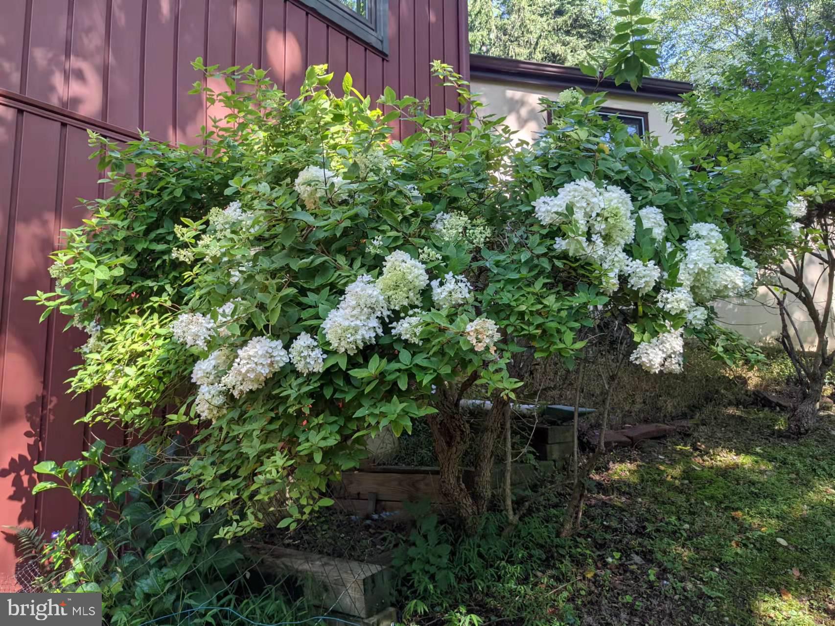 HARVEY RUN - Residential