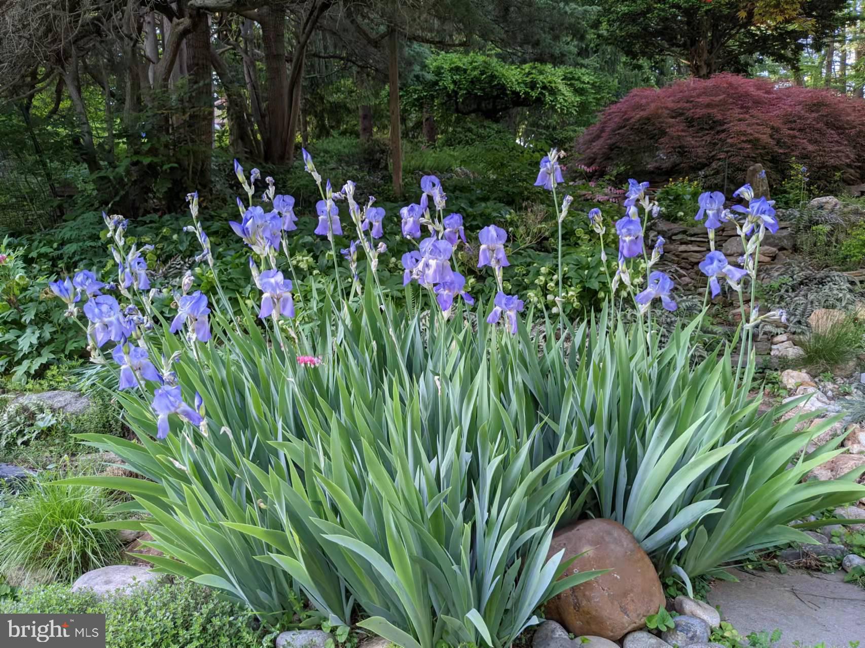 HARVEY RUN - Residential