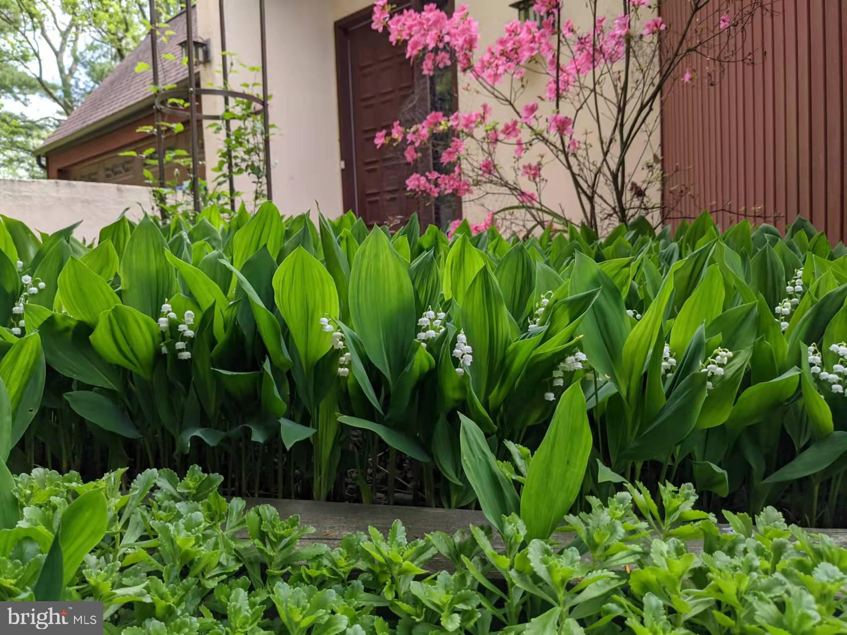 HARVEY RUN - Residential