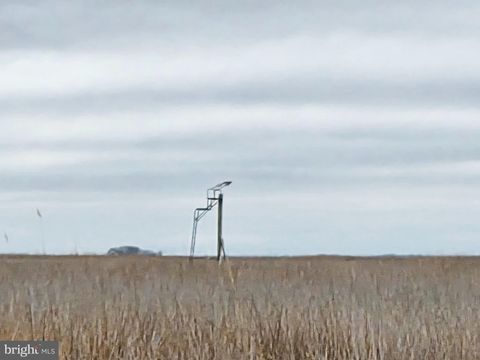 Waterfowl & Sika Deer - WESLEY ROAD S/S MUSKRAT HARBOR CRAPO MD 21626