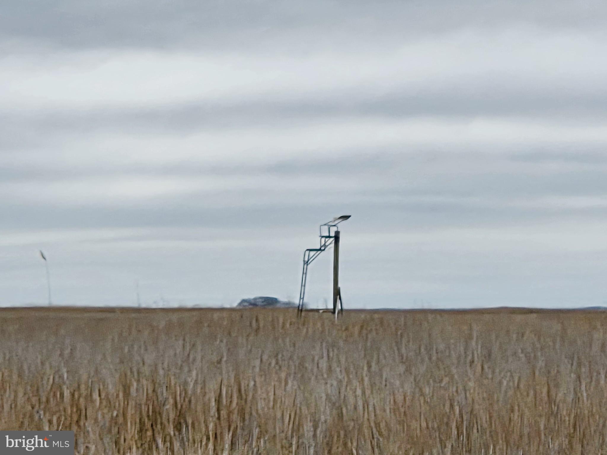 Waterfowl & Sika Deer - WESLEY ROAD S/S MUSKRAT HARBOR
