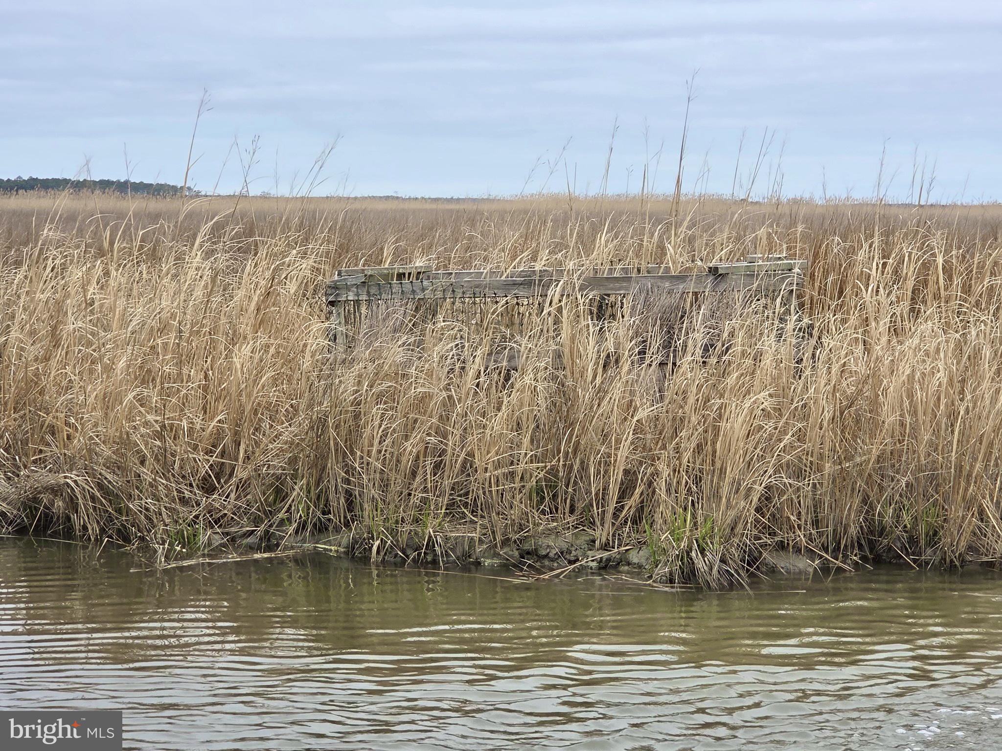 Waterfowl & Sika Deer - WESLEY ROAD S/S MUSKRAT HARBOR
