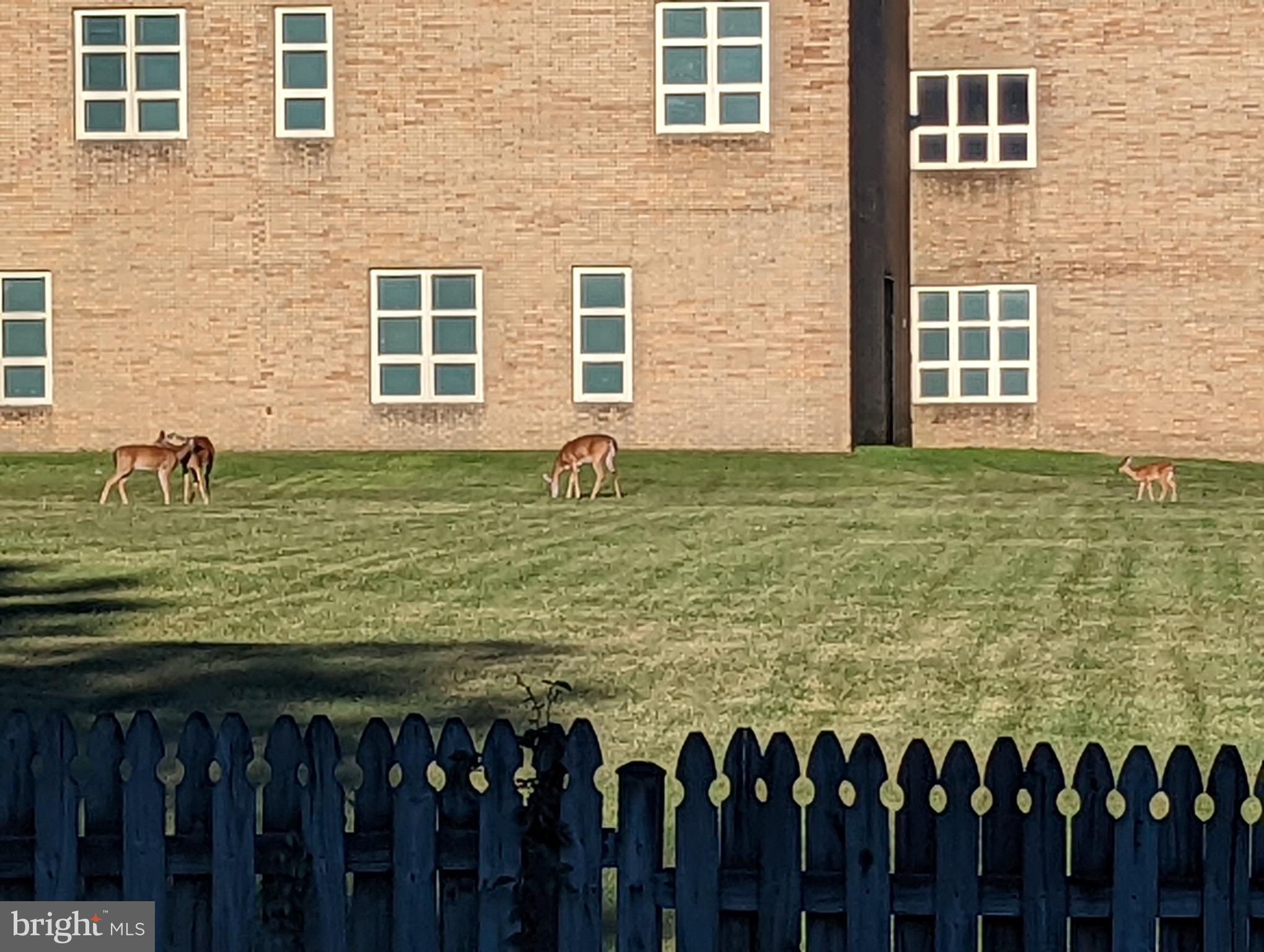 REISTERSTOWN - Residential