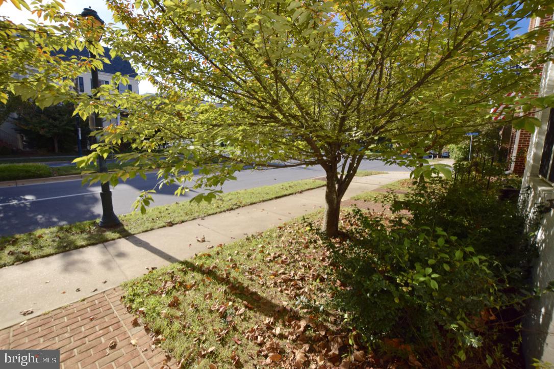 KING FARM - Residential Lease