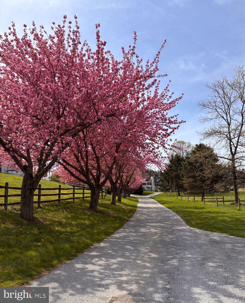 LENAPE SPRINGS - Residential