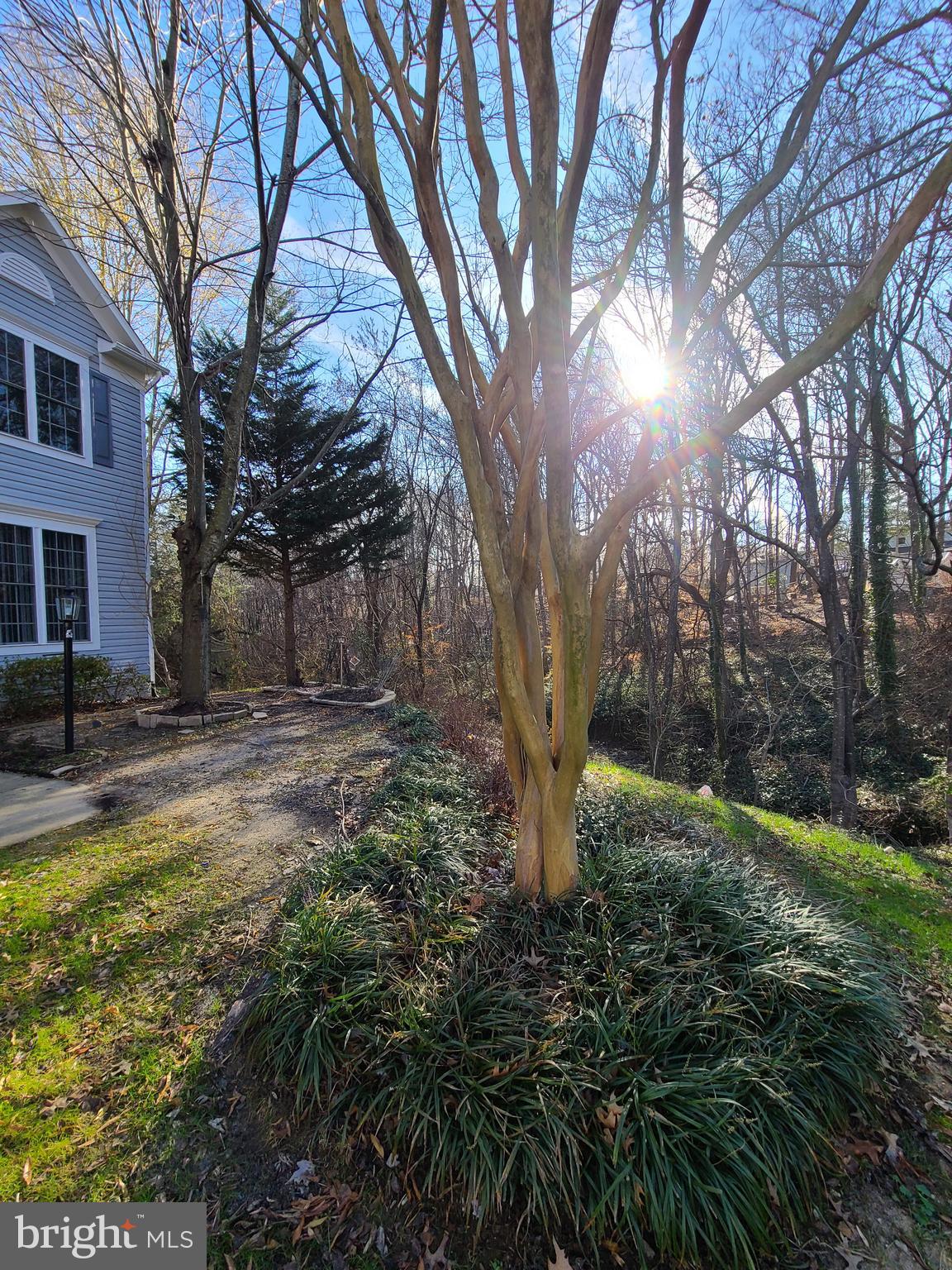 PRINCE WILLIAM COMMONS - Residential Lease