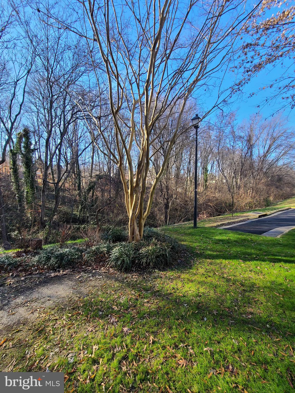 PRINCE WILLIAM COMMONS - Residential Lease