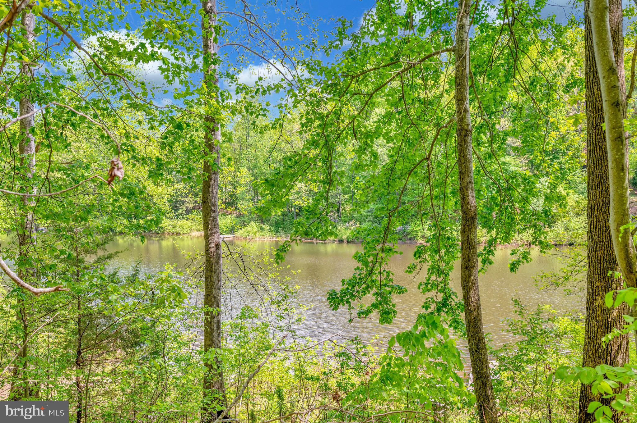 PRESIDENTIAL LAKES - Residential