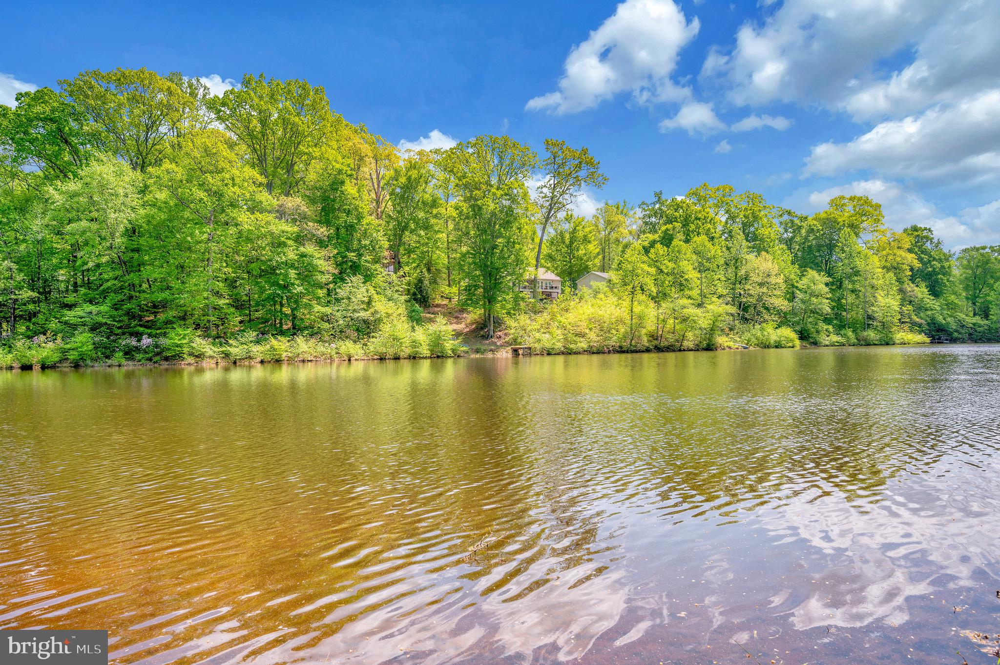 PRESIDENTIAL LAKES - Residential