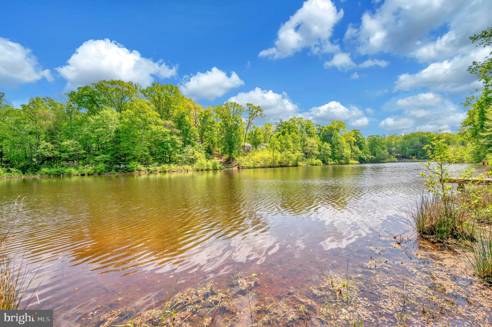 PRESIDENTIAL LAKES - Residential
