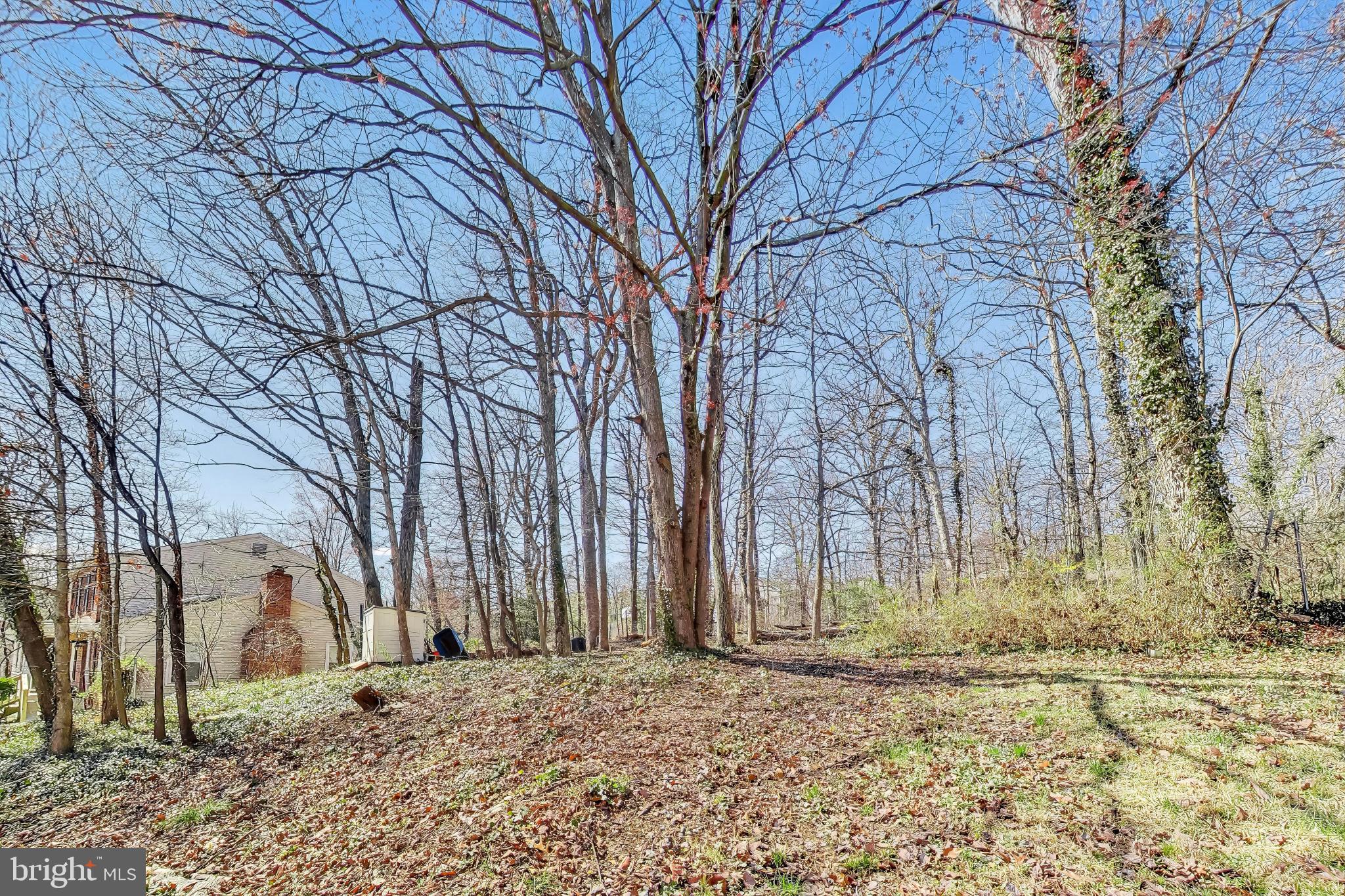 CHEVERLY HILLS - Residential