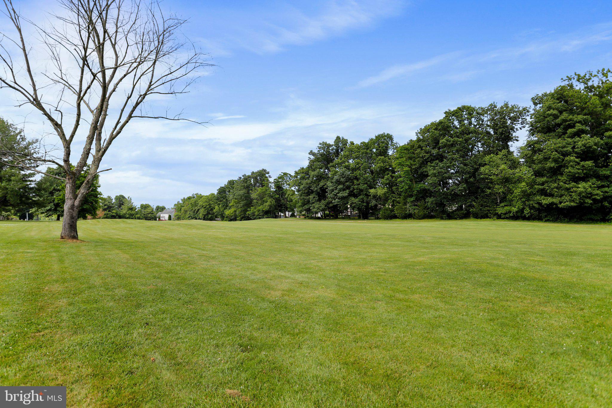 LOCUST HILL - Residential