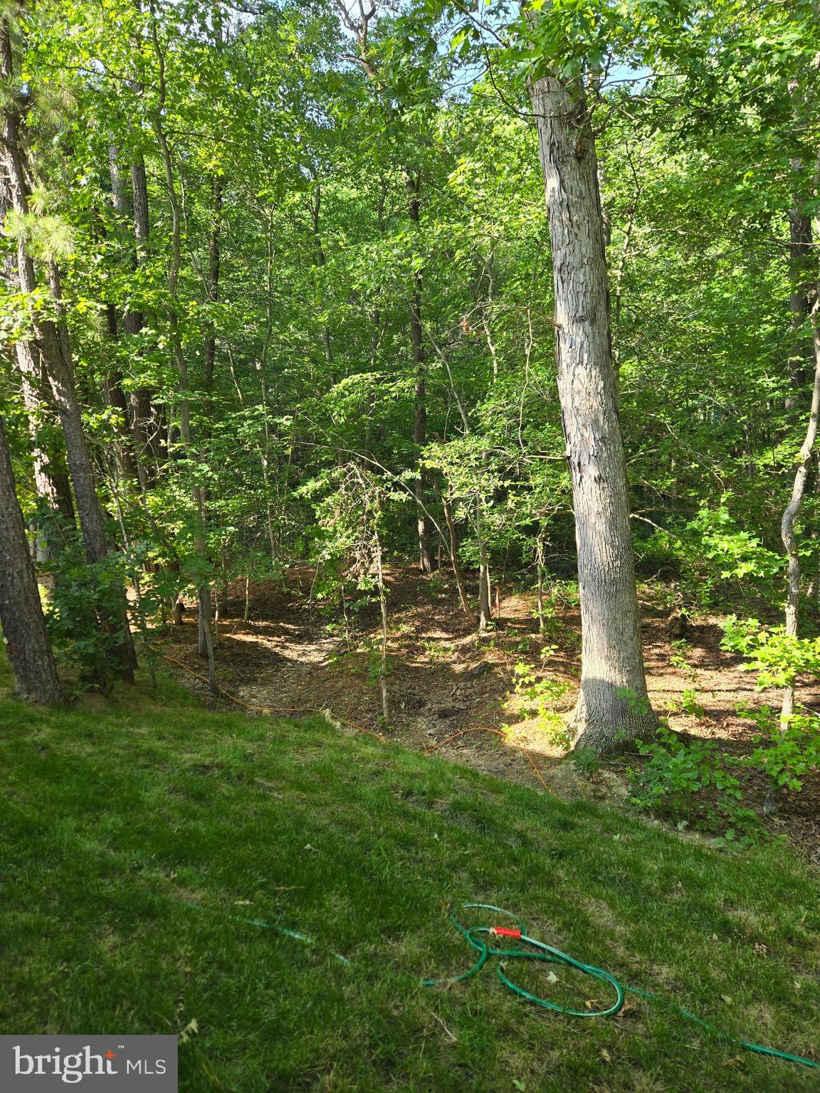 PINTAIL LANDING - Residential Lease