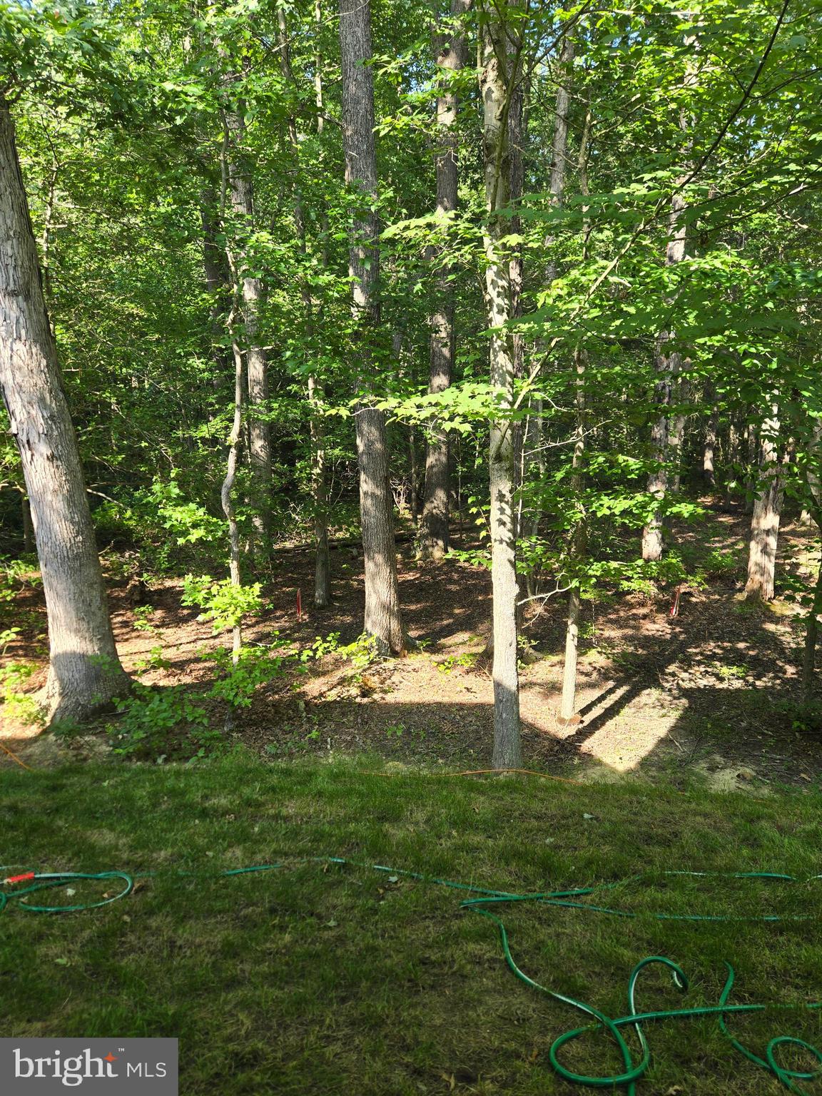 PINTAIL LANDING - Residential Lease