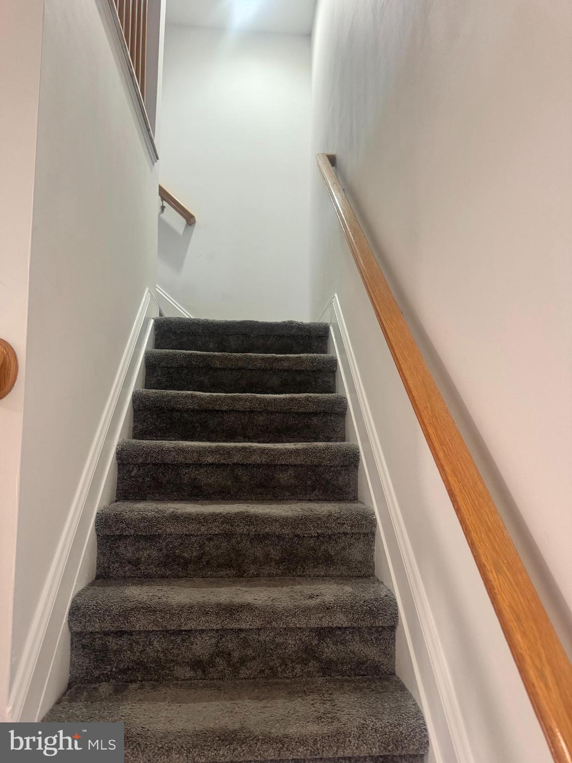 LITTLE ITALY - Residential