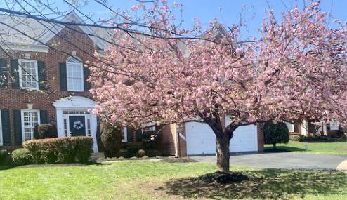 5422 SHERMAN OAKS COURT