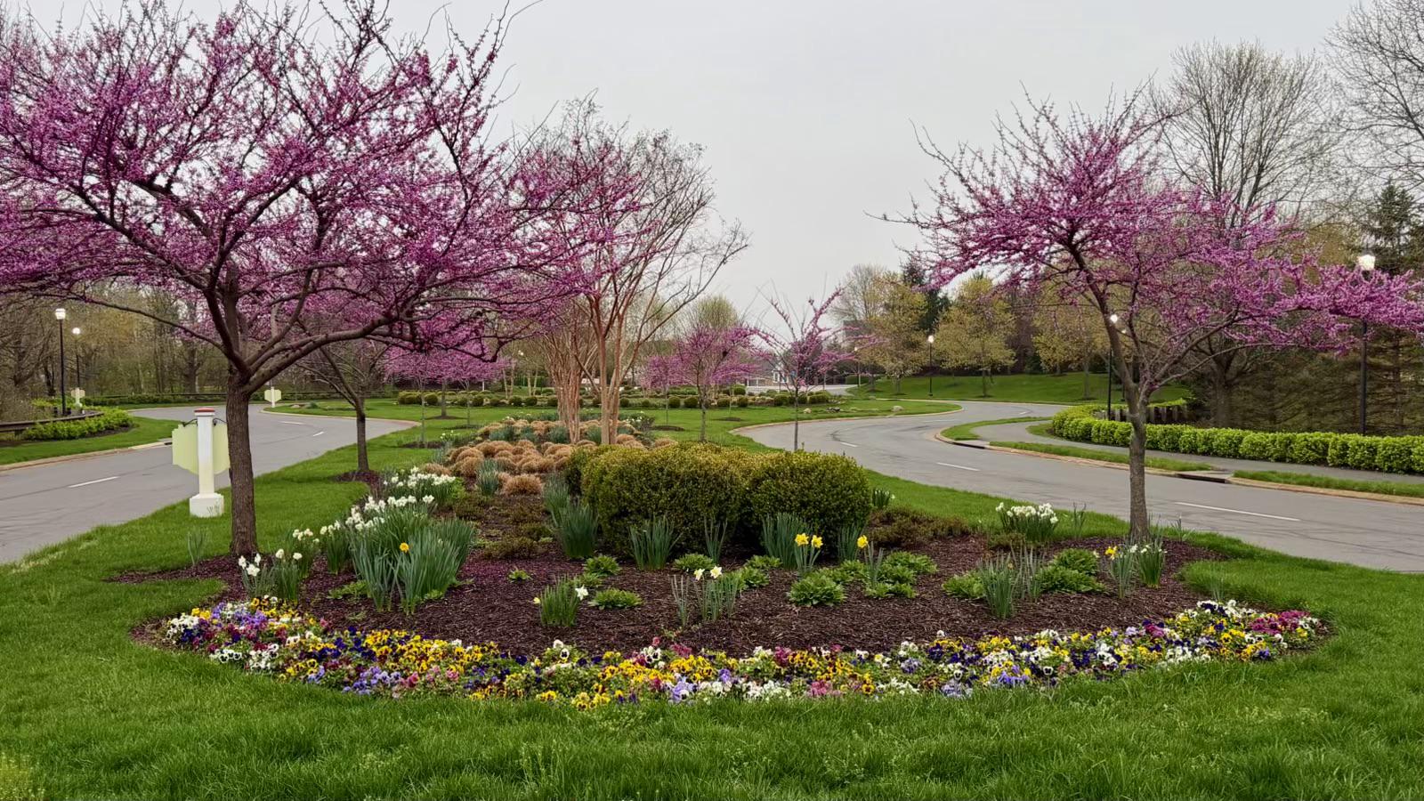 PIEDMONT - Residential