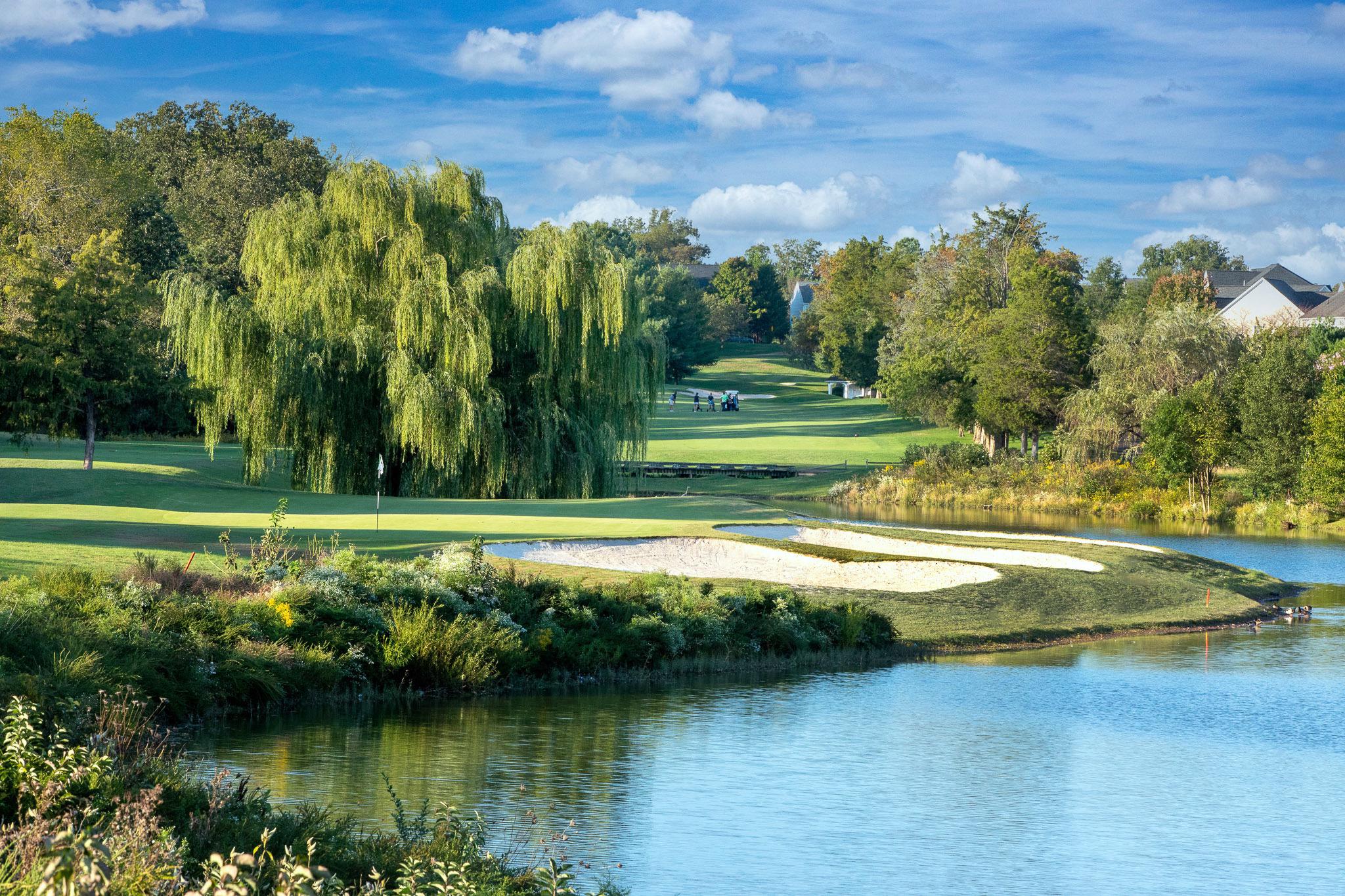 PIEDMONT - Residential