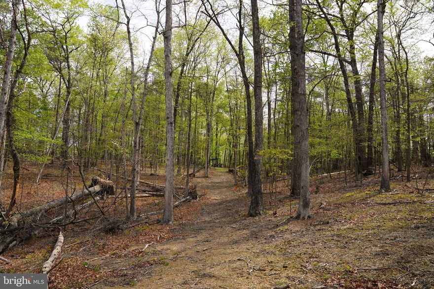 Introducing an exceptional opportunity to create your possibilities on 23+/- unrestricted acres of pristine, raw land in Hedgesville, WV. Approved for a Class I Septic System.  Nestled along Cherry Run Road with easy access to Martinsburg Road (Rt9), this prime location straddles the border of Morgan and Berkeley Counties. The property boasts a tranquil spring-fed pond, adding an enchanting touch to the landscape. What truly sets it apart is the potential for residential development, with the capacity to create eleven (11) residential lots, making it a perfect investment opportunity for builders and developers. For the gun enthusiast, the property's current use as a shooting range provides a unique and dedicated space for your passion.  Long, gated driveway that enhances security and seclusion.  Back on the market at no fault of the seller, this property offers unlimited potential and endless possibilities. Don't miss out on this rare opportunity to craft your own future in this beautiful setting. Contact us today to learn more.