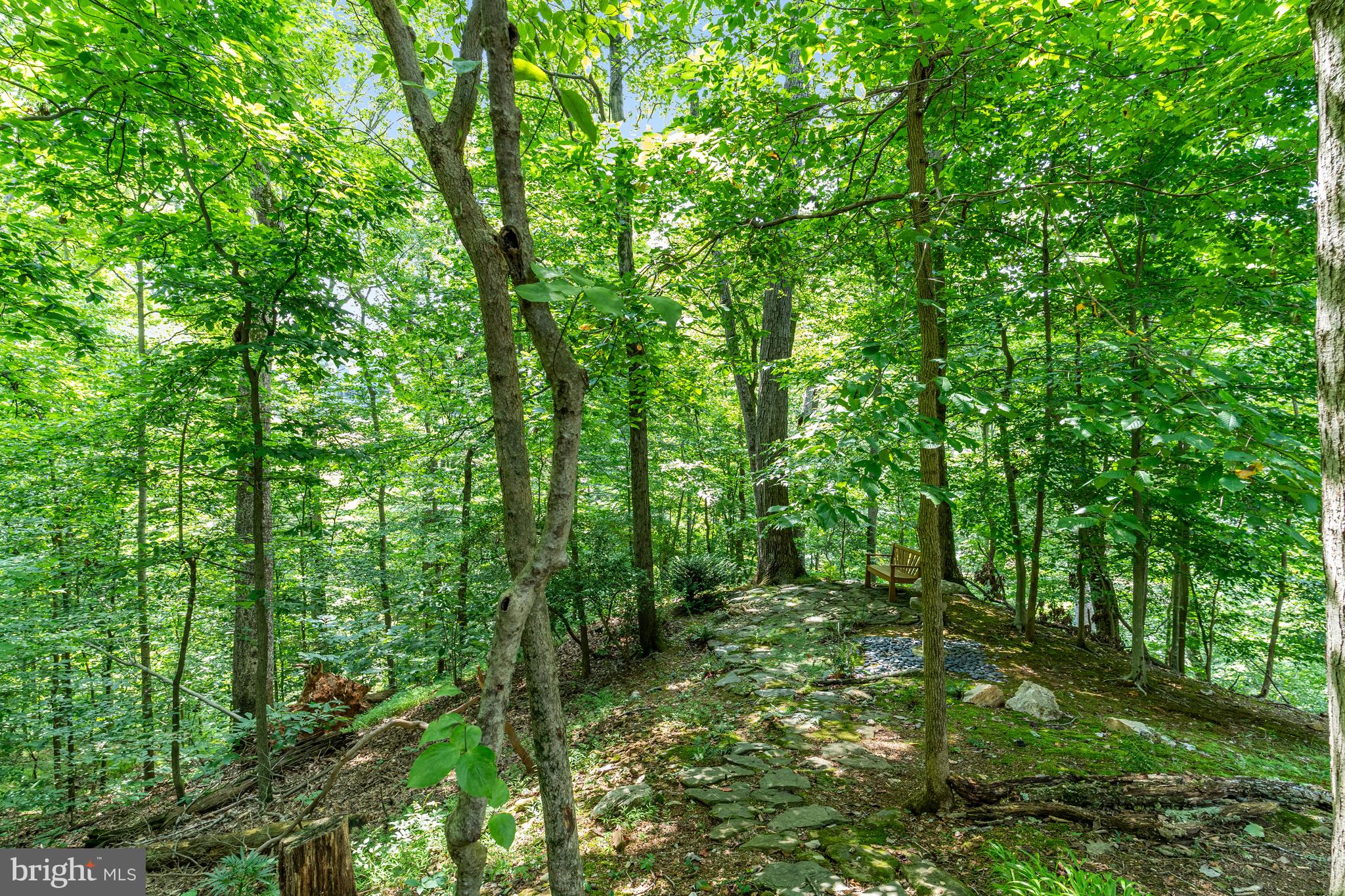 BULLS NECK HUNDRED - Residential