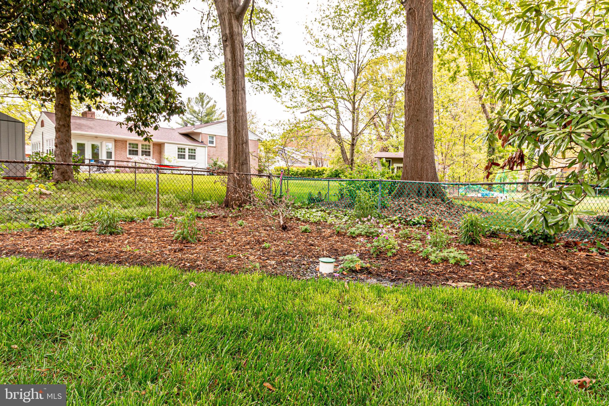 COLLINGWOOD ESTATES - Residential Lease