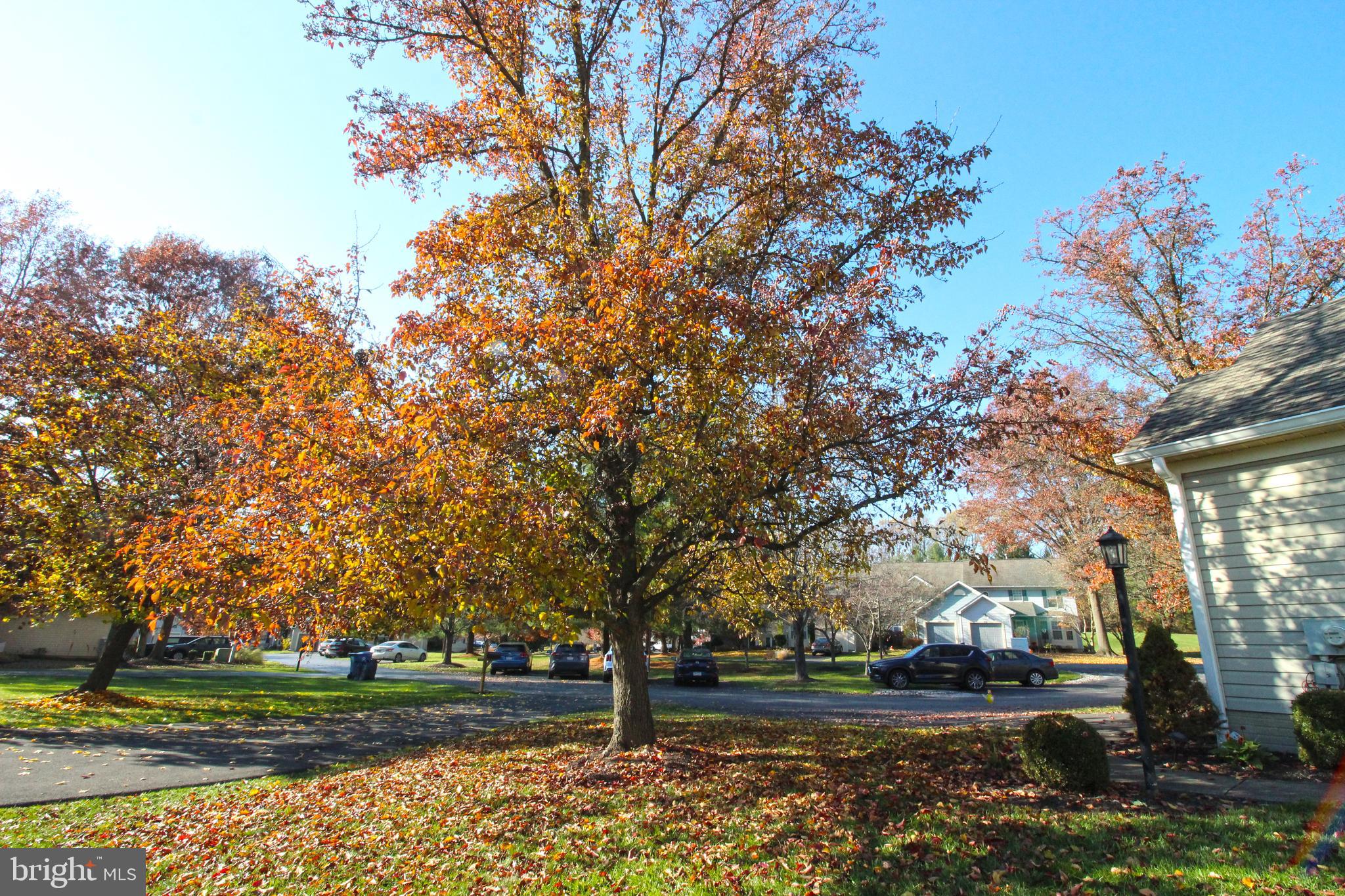 BALMORAL - Residential