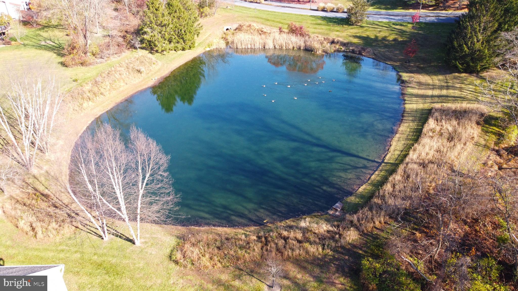 BALMORAL - Residential