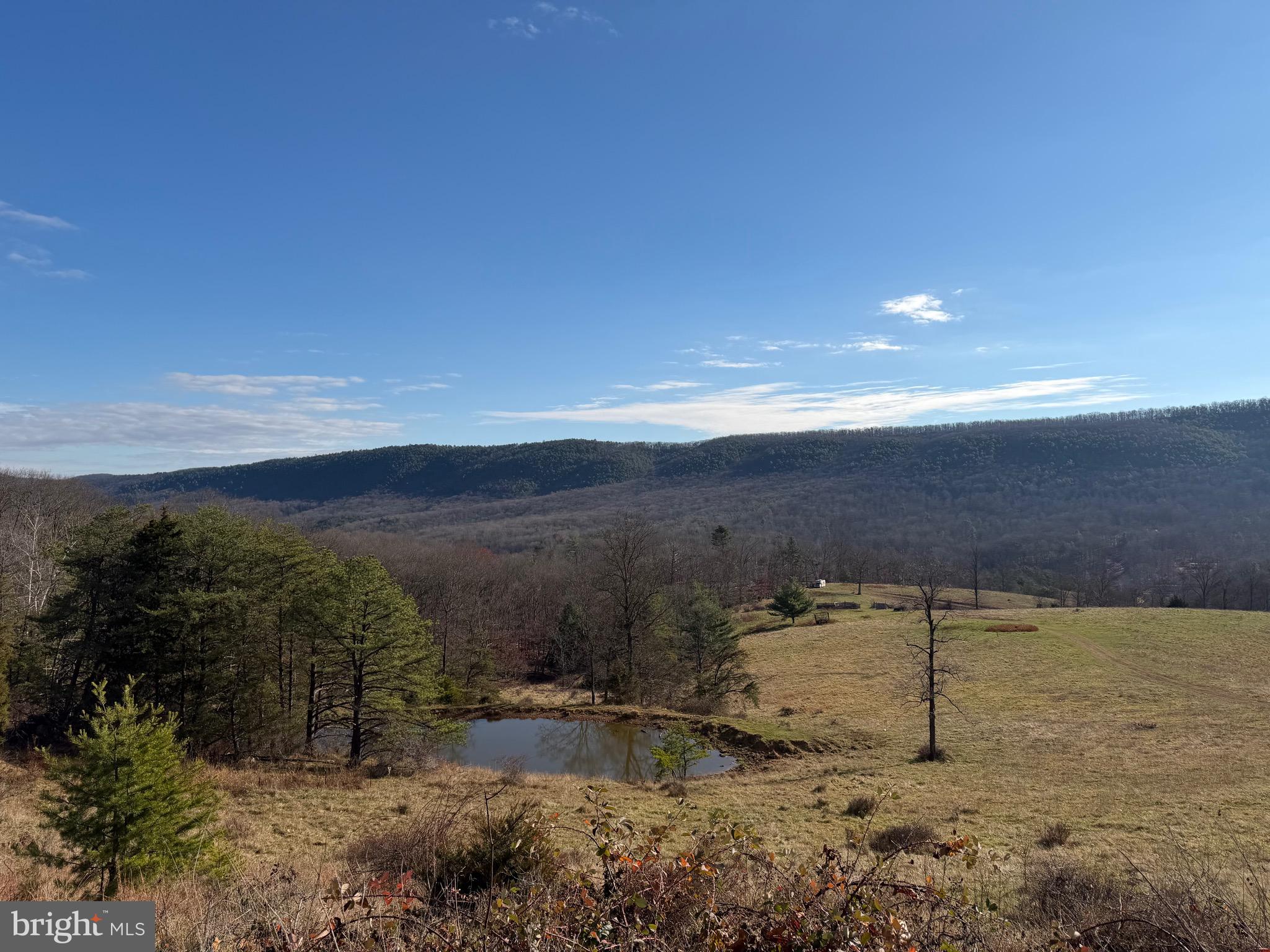 NONE UNRESTRICTED - Land